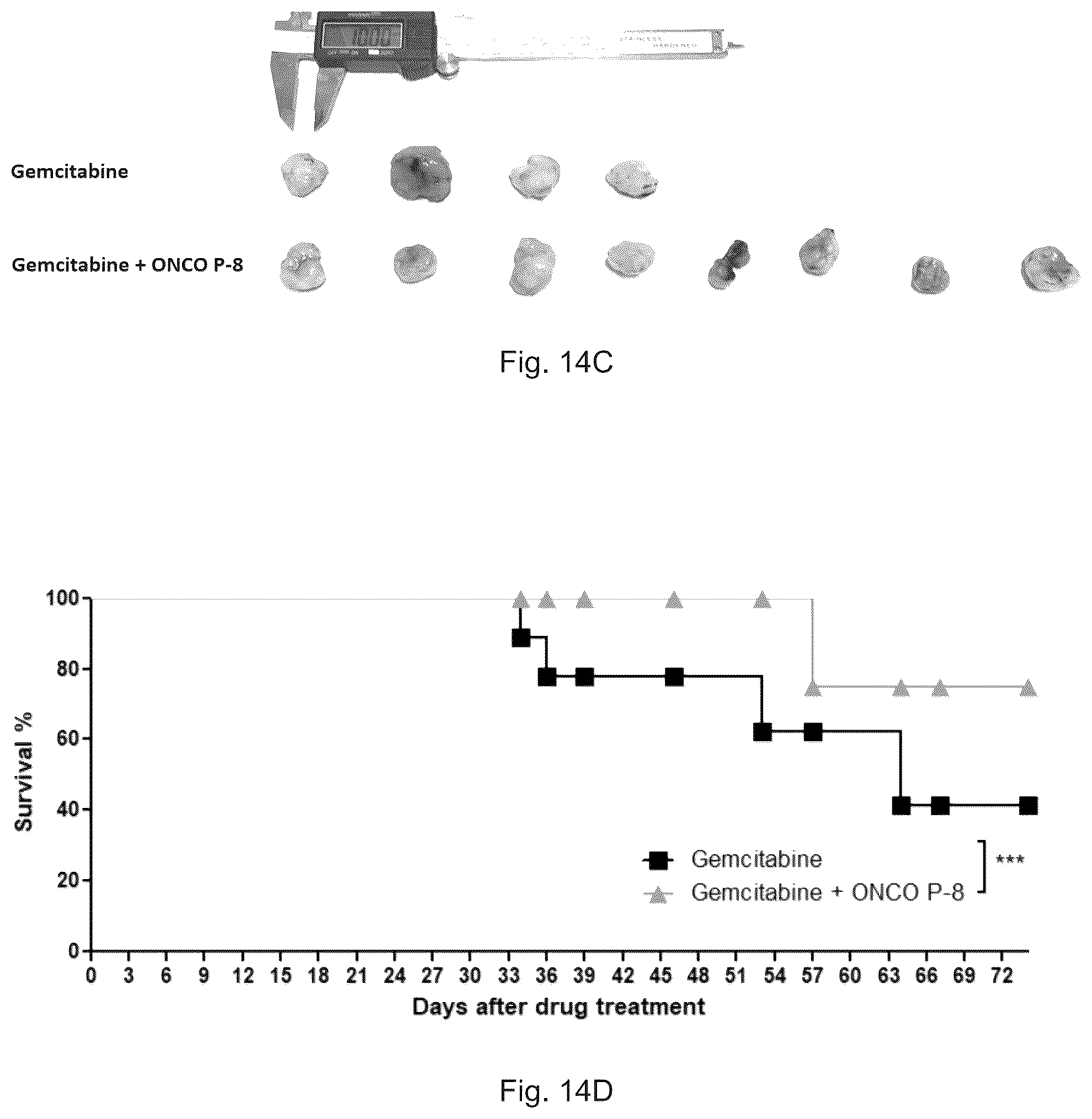 Patent US12472227 Figure 16 – Pharmaceutical compositions and use thereof for relieving resistance due to cancer chemotherapy and enhancing effect of cancer chemotherapy