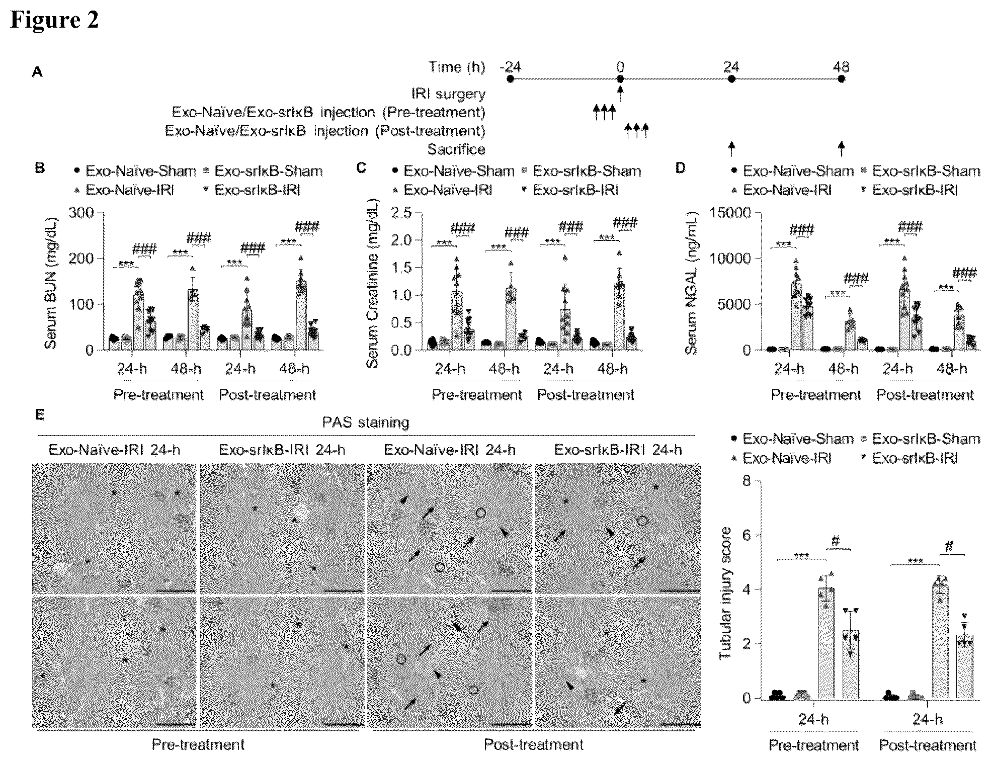 Patent US12472228 Figure 2 – Use of exosome-based delivery of NF-κB inhibitors