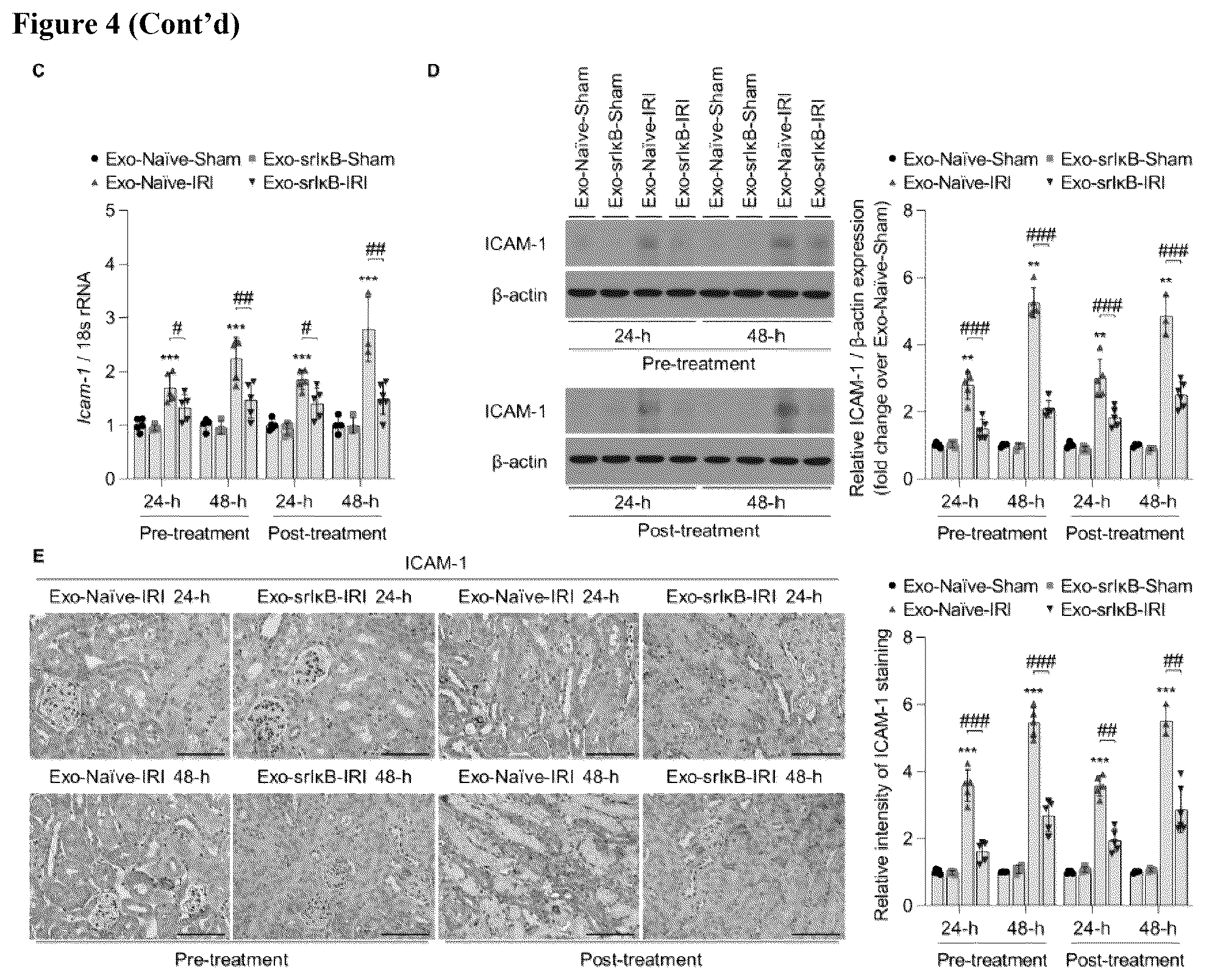 Patent US12472228 Figure 5 – Use of exosome-based delivery of NF-κB inhibitors