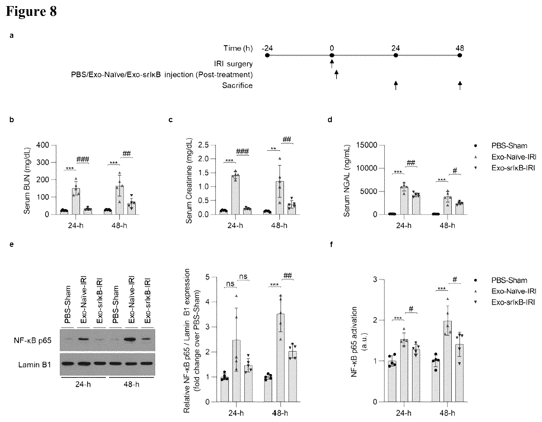 Patent US12472228 Figure 11 – Use of exosome-based delivery of NF-κB inhibitors