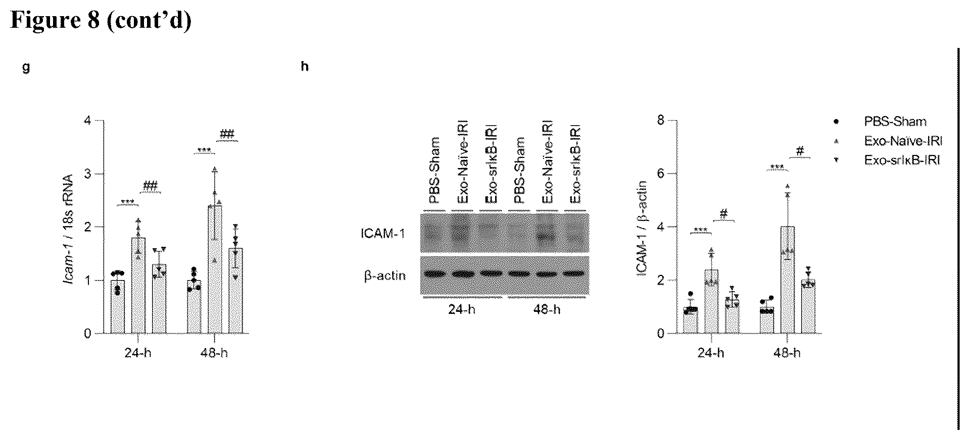 Patent US12472228 Figure 12 – Use of exosome-based delivery of NF-κB inhibitors