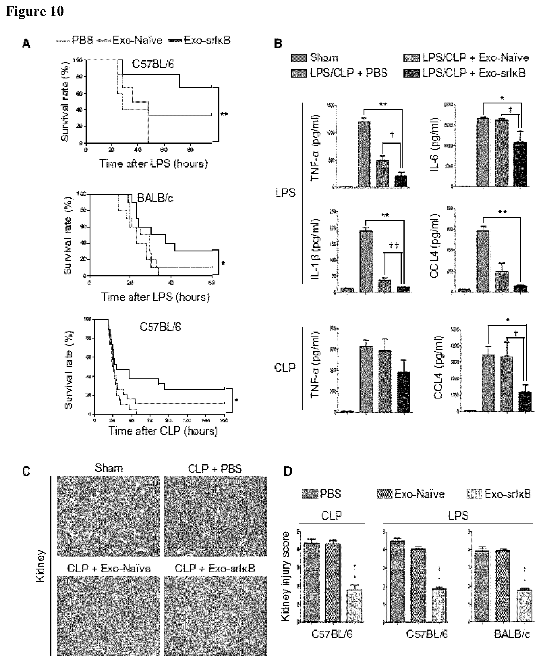 Patent US12472228 Figure 14 – Use of exosome-based delivery of NF-κB inhibitors