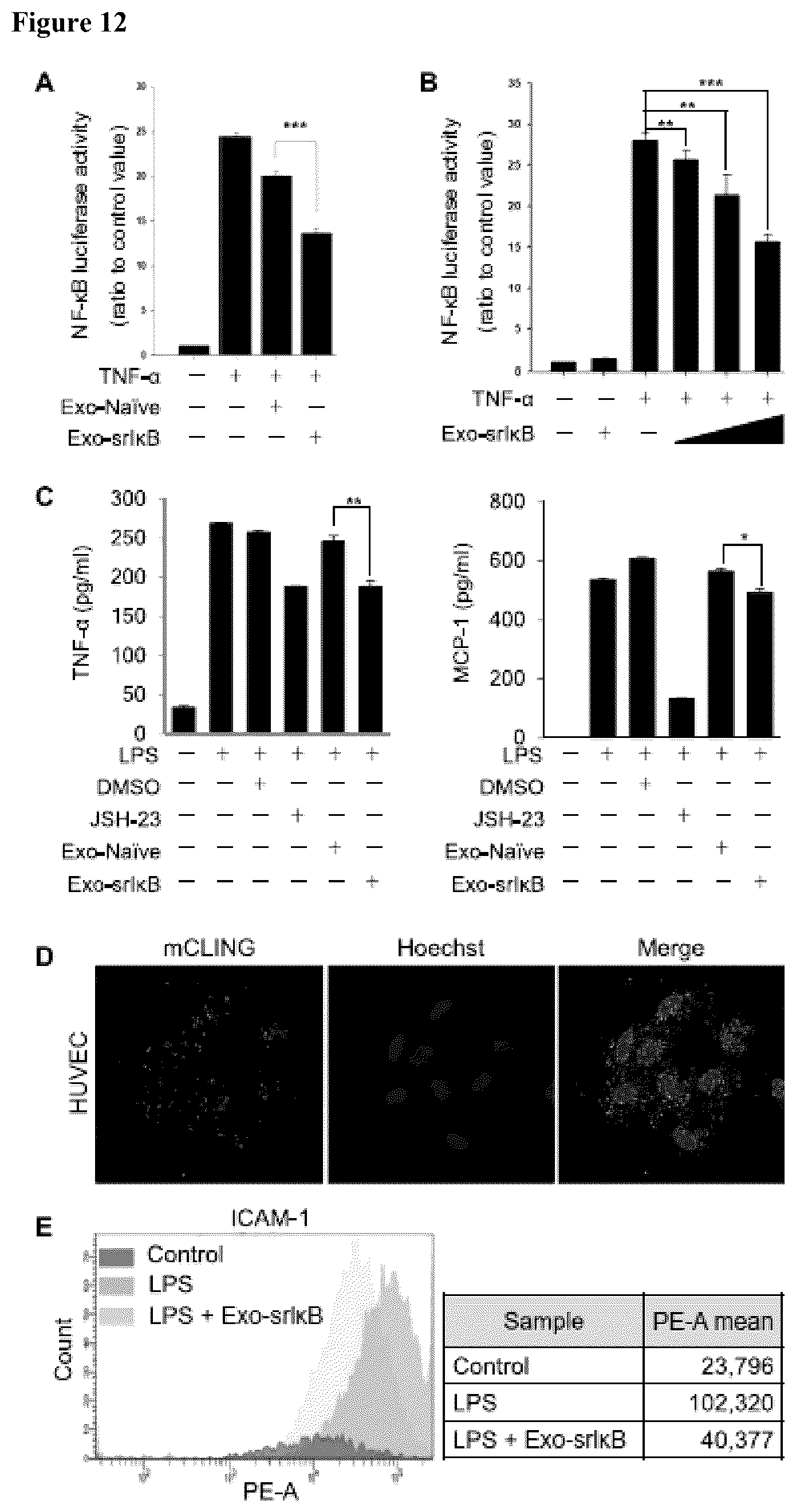 Patent US12472228 Figure 16 – Use of exosome-based delivery of NF-κB inhibitors