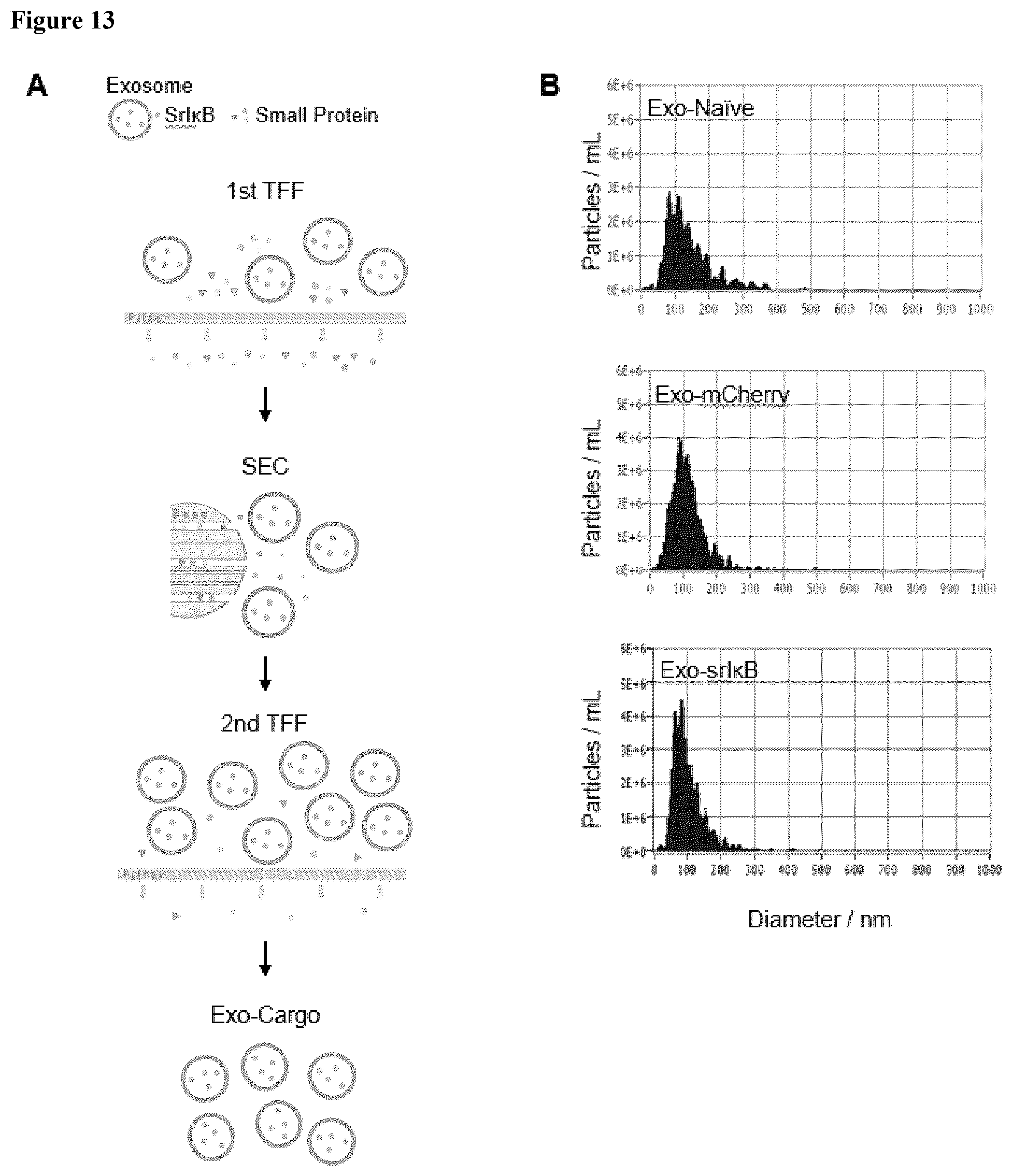 Patent US12472228 Figure 17 – Use of exosome-based delivery of NF-κB inhibitors