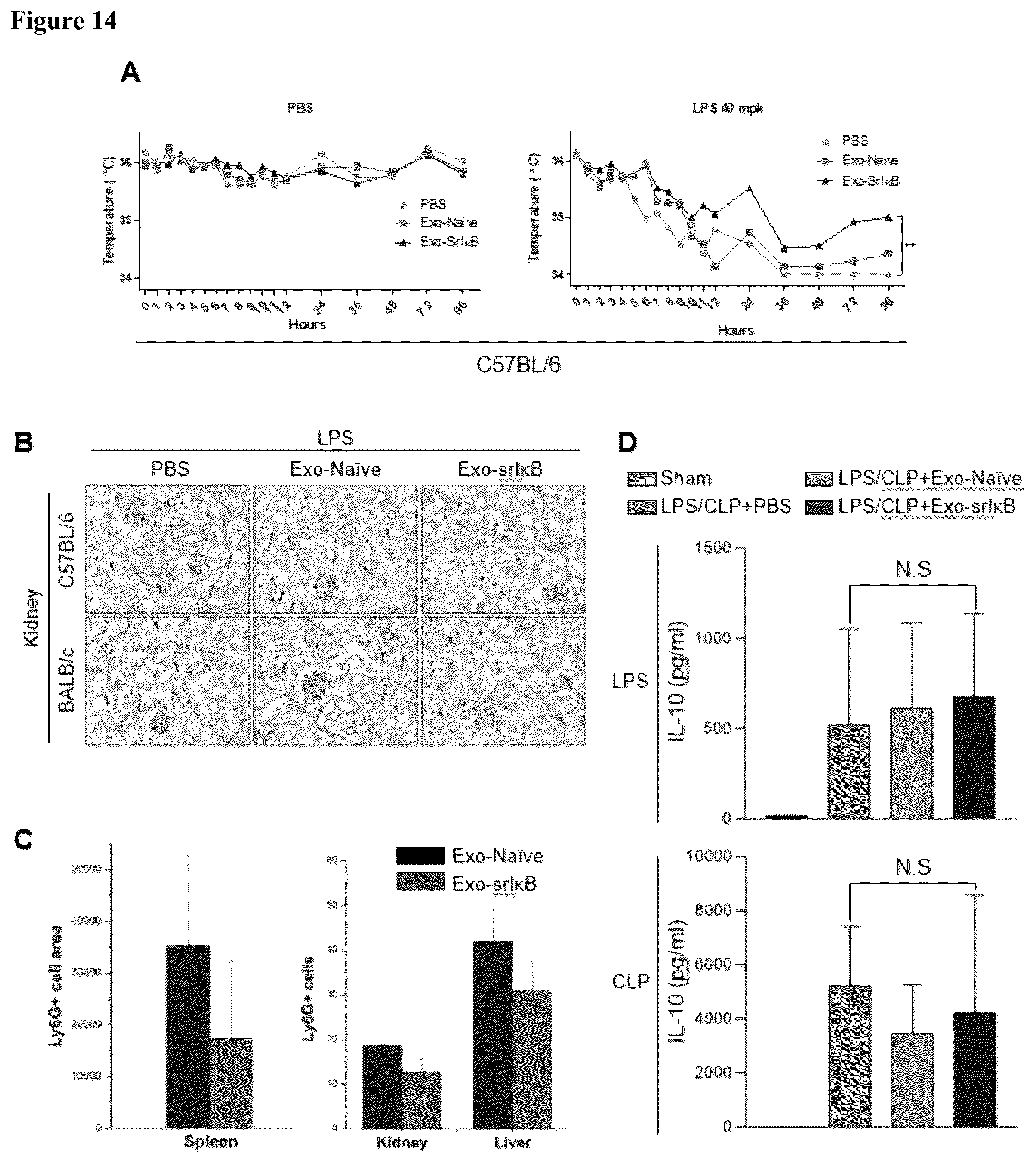 Patent US12472228 Figure 18 – Use of exosome-based delivery of NF-κB inhibitors