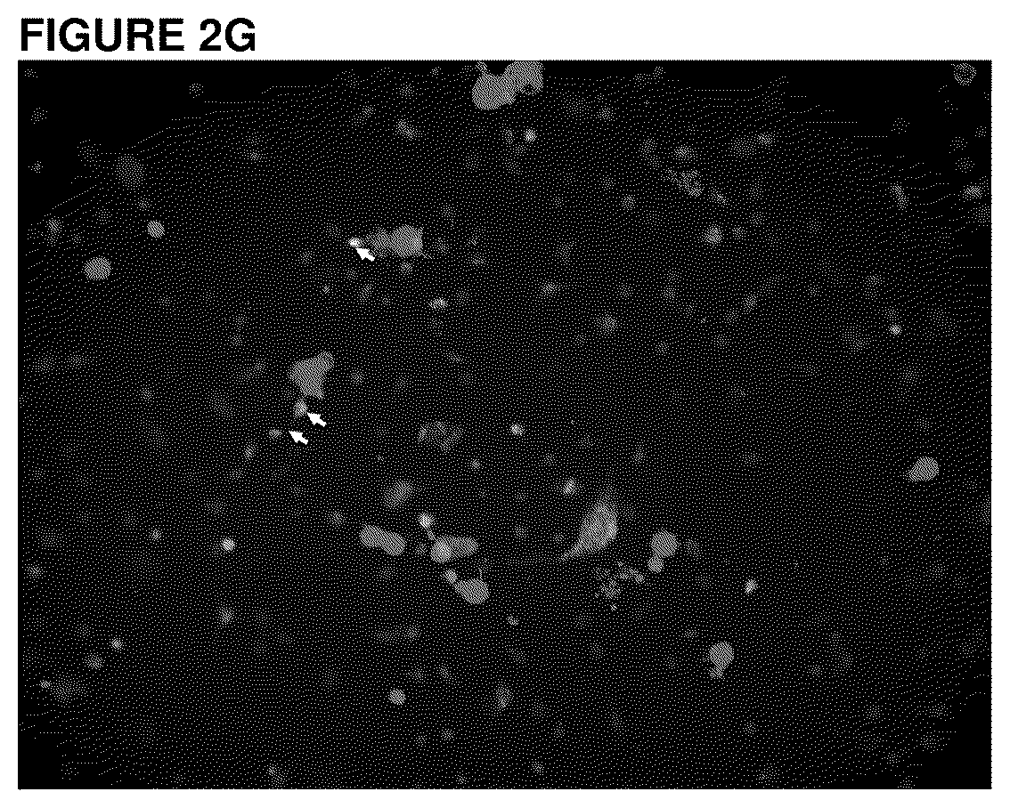 Patent US12472232 Figure 3 – Methods to treat viral infections