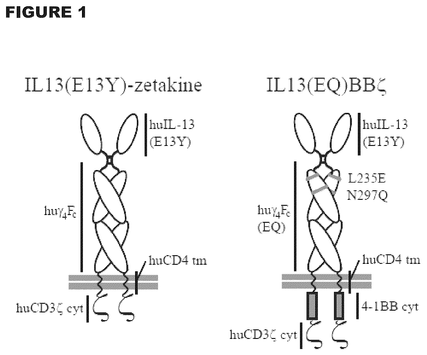 Patent US12472233 — Administration of engineered T cells for treatment of cancers in the central nervous system — Figure 1