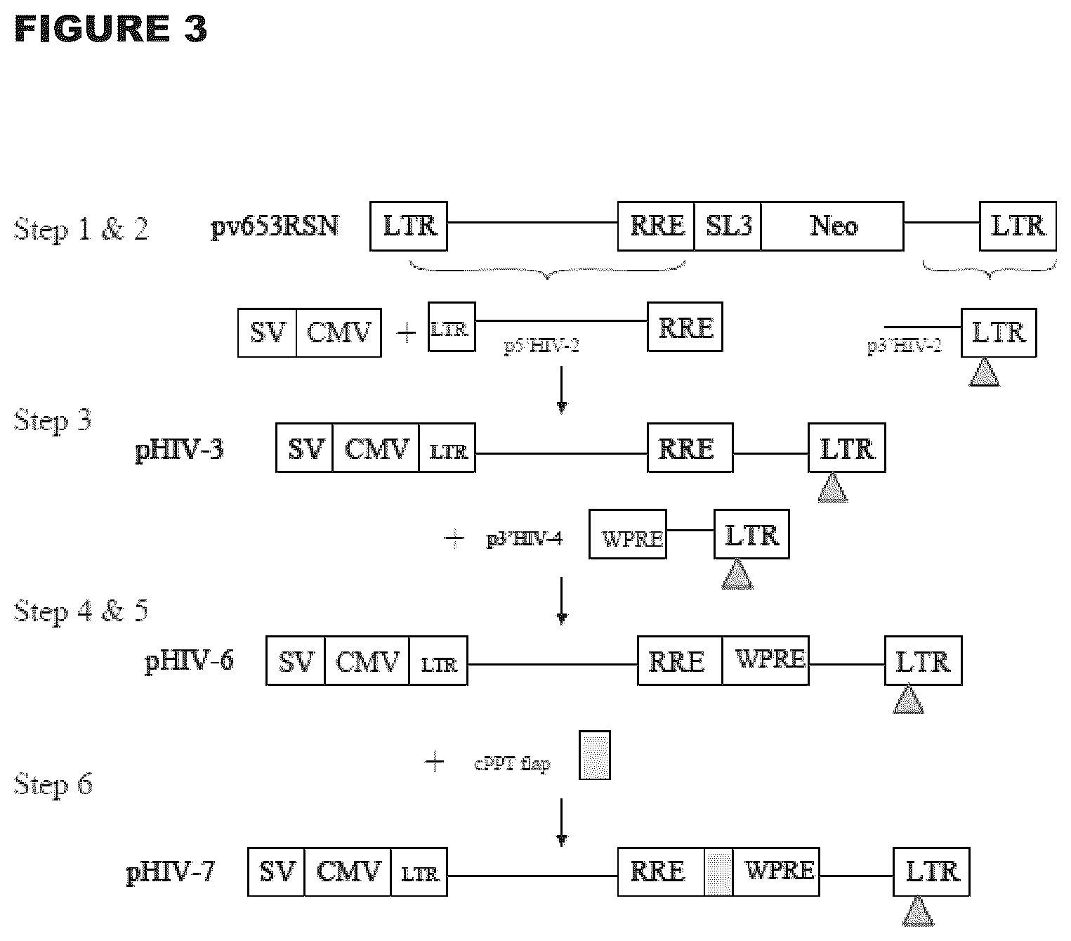 Patent US12472233 Figure 3 – Administration of engineered T cells for treatment of cancers in the central nervous system