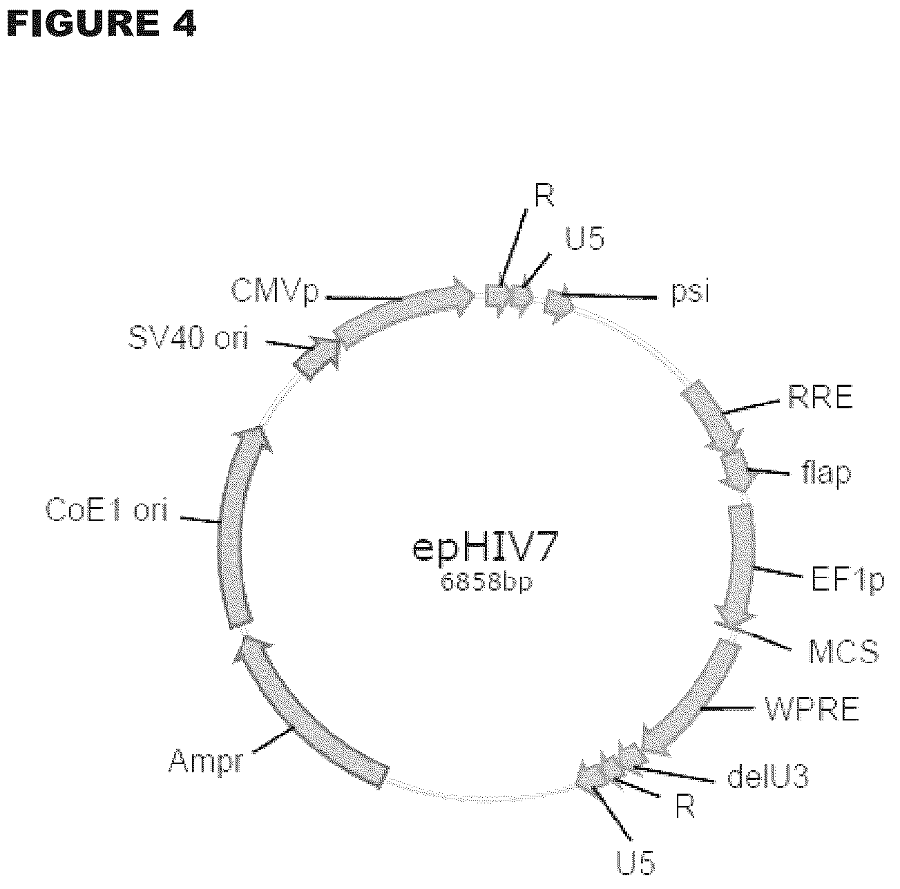 Patent US12472233 Figure 4 – Administration of engineered T cells for treatment of cancers in the central nervous system
