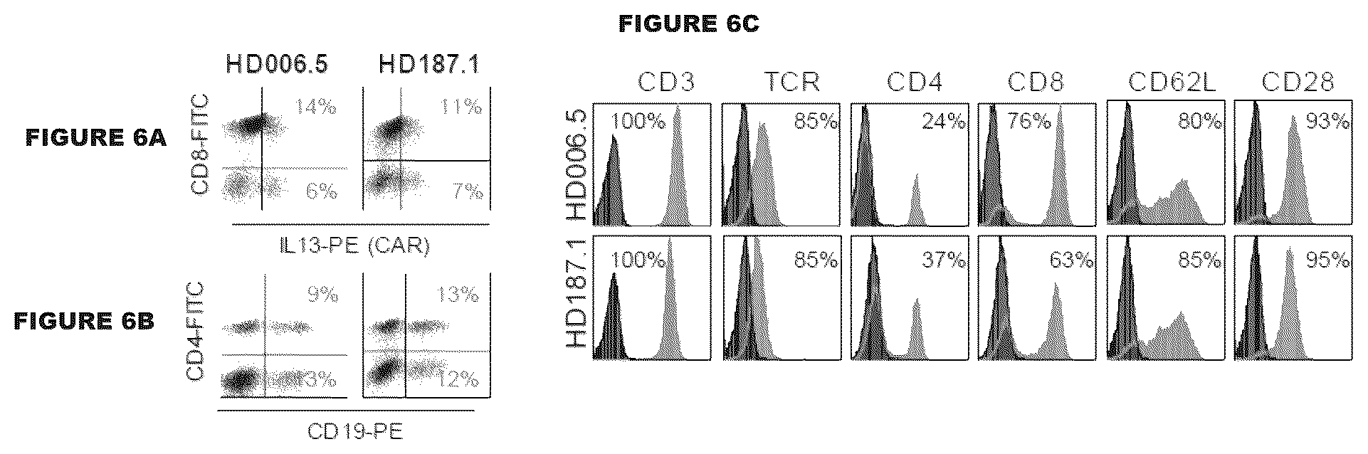 Patent US12472233 Figure 6 – Administration of engineered T cells for treatment of cancers in the central nervous system