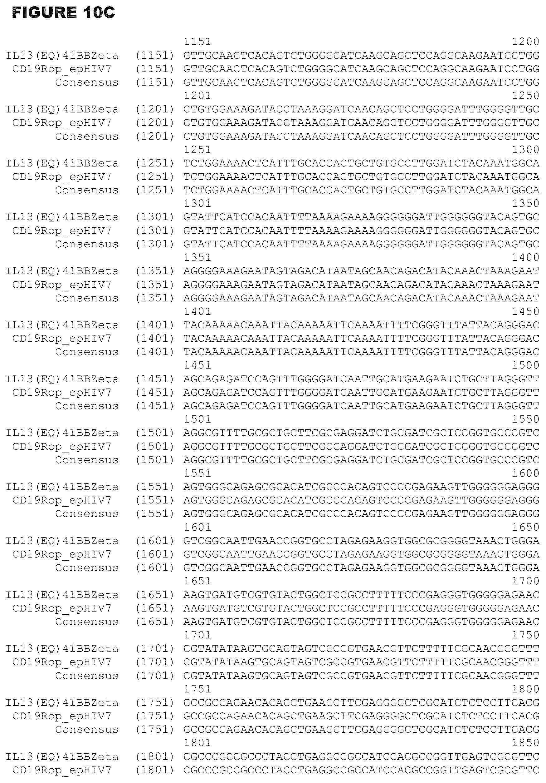 Patent US12472233 Figure 13 – Administration of engineered T cells for treatment of cancers in the central nervous system