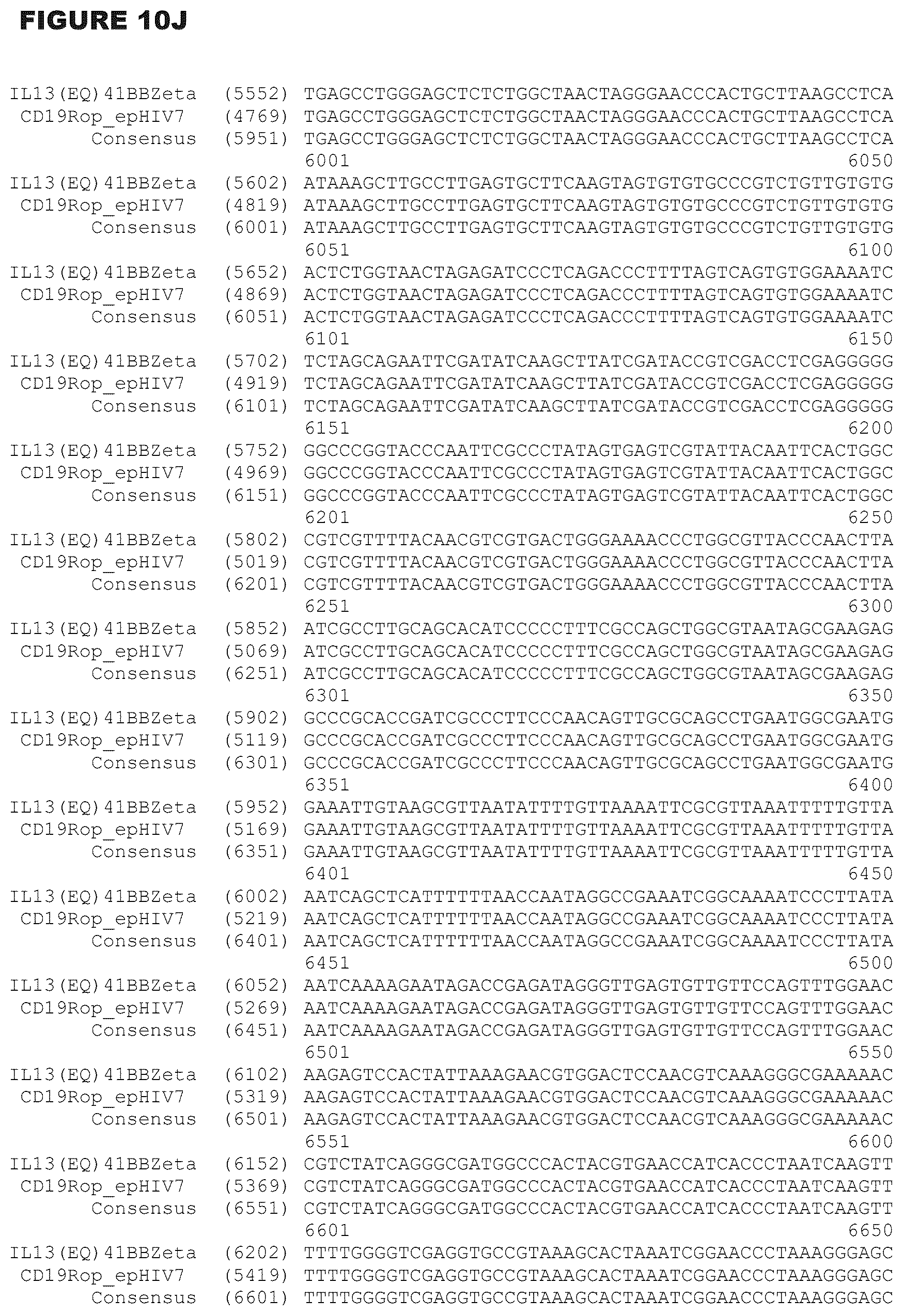 Patent US12472233 Figure 20 – Administration of engineered T cells for treatment of cancers in the central nervous system