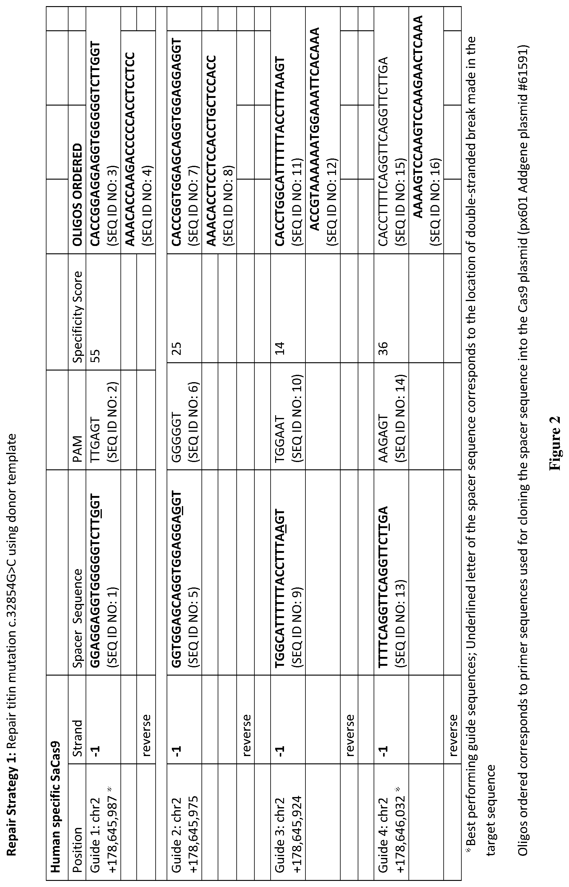 Patent US12472239 Figure 2 – Guide RNA for repairing a mutant human titin gene using CRISPR technology