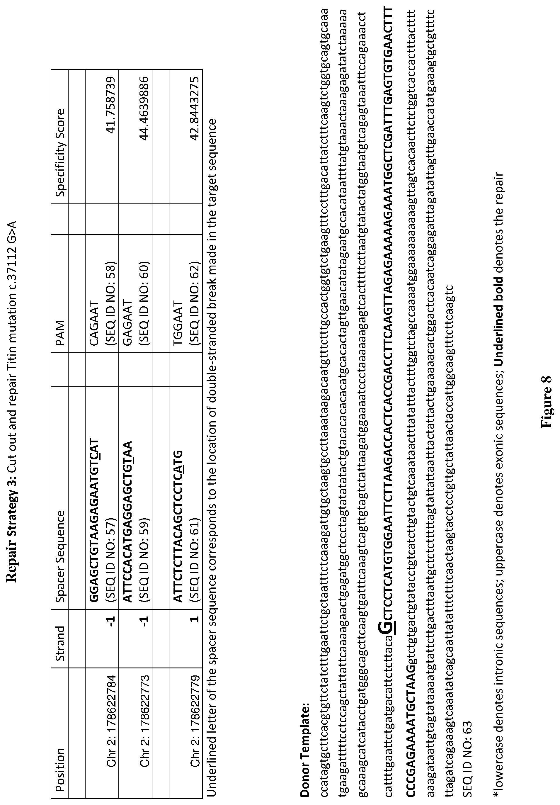 Patent US12472239 Figure 8 – Guide RNA for repairing a mutant human titin gene using CRISPR technology