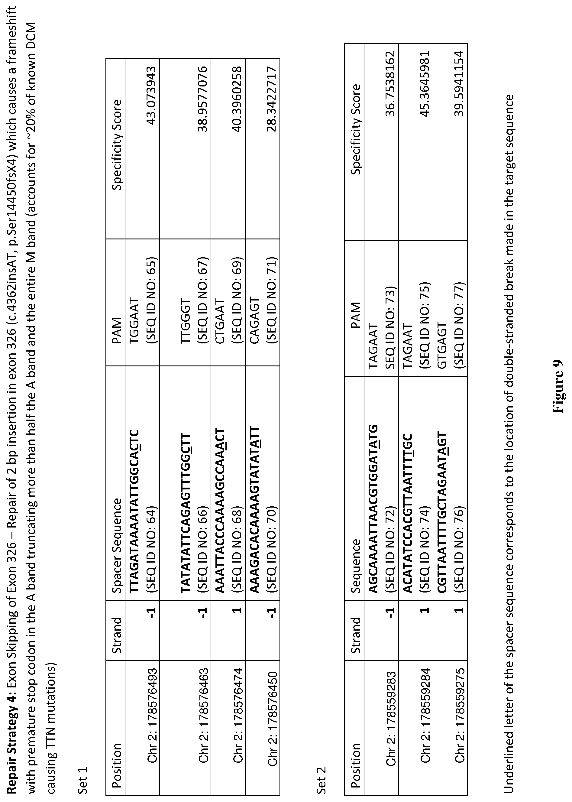 Patent US12472239 Figure 9 – Guide RNA for repairing a mutant human titin gene using CRISPR technology