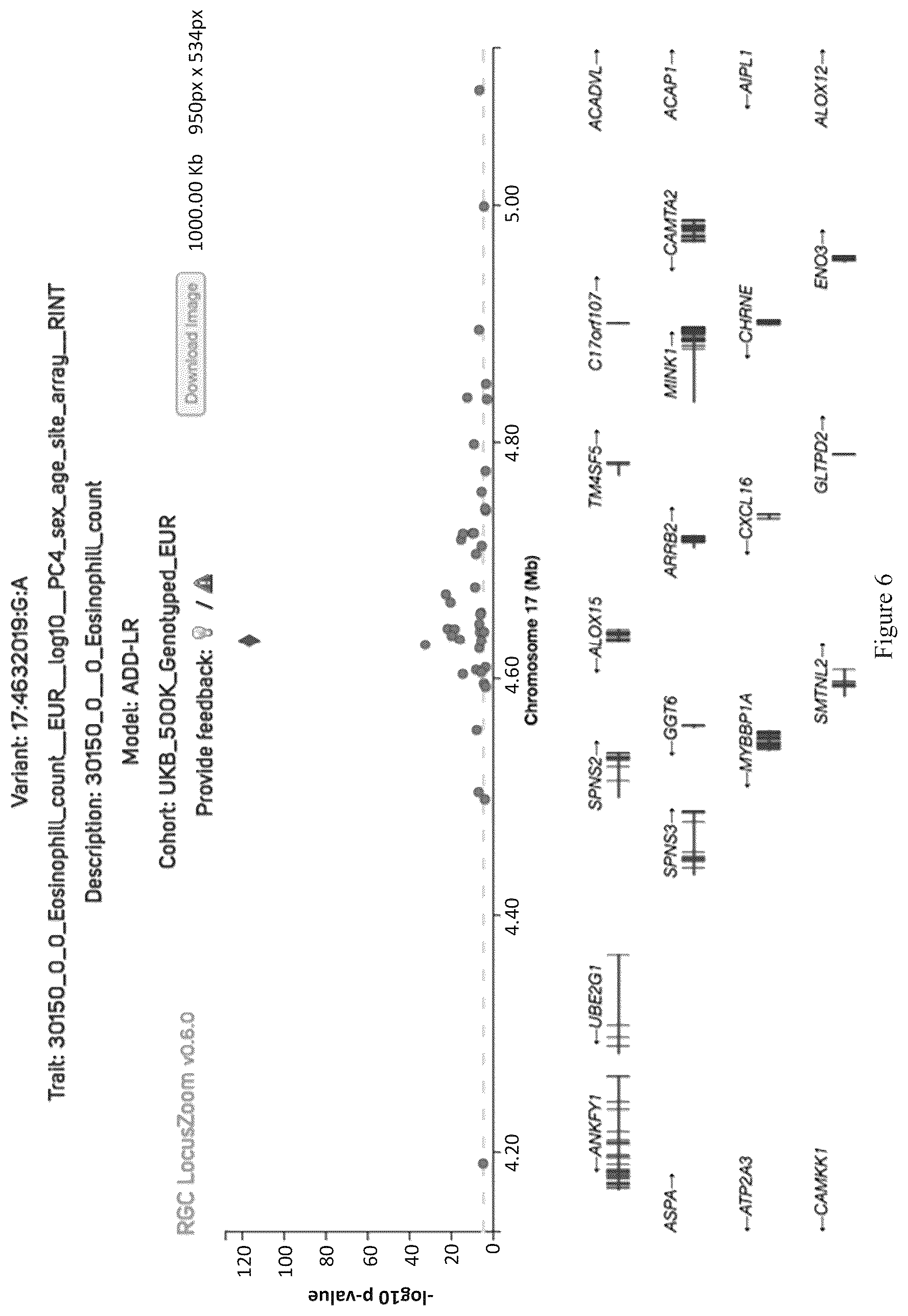 Patent US12472241 Figure 7 – Treatment of respiratory disorders with arachidonate 15-lipoxygenase (ALOX15) inhibitors