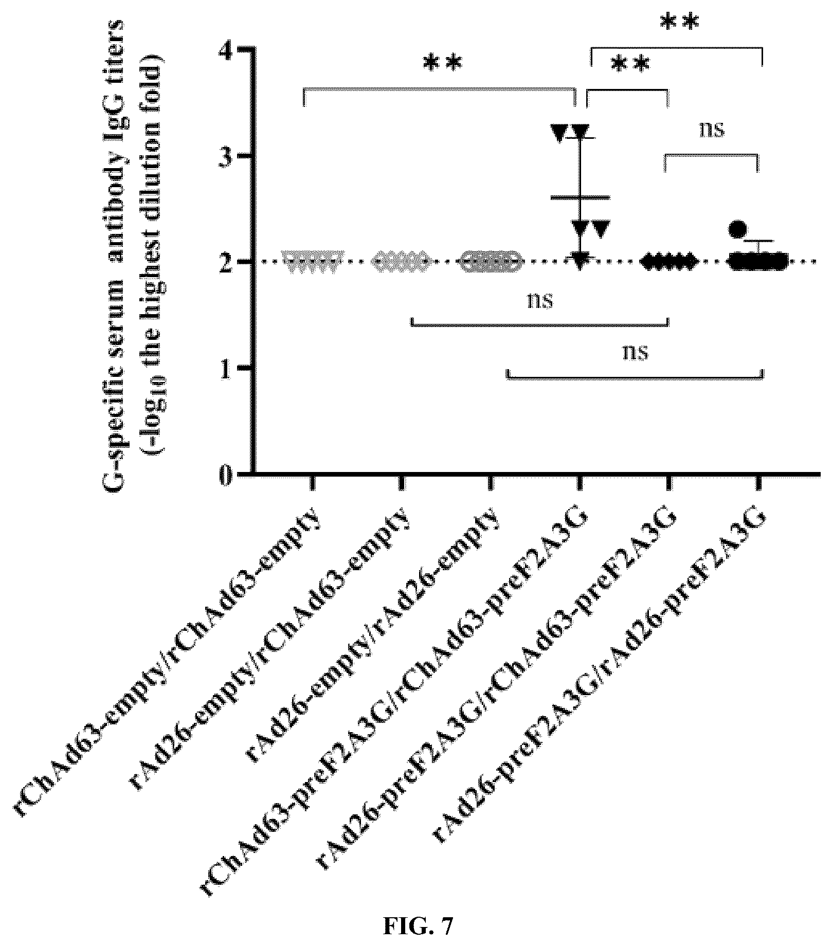 Patent US12472243 Figure 7 – Combined vaccine against human respiratory syncytial virus (RSV) infections and method thereof for inducing immune response