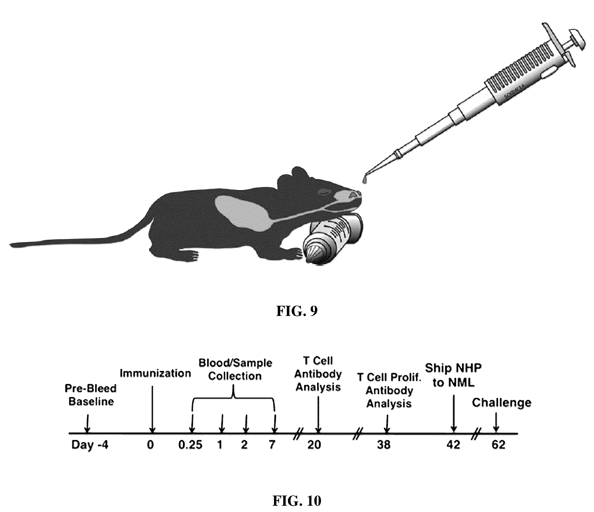Patent US12472244 Figure 7 – Immunogenic compositions and uses thereof