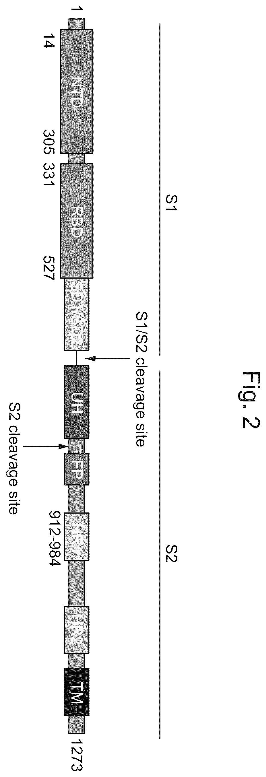 Patent US12472246 Figure 2 – Coronavirus vaccine formulations