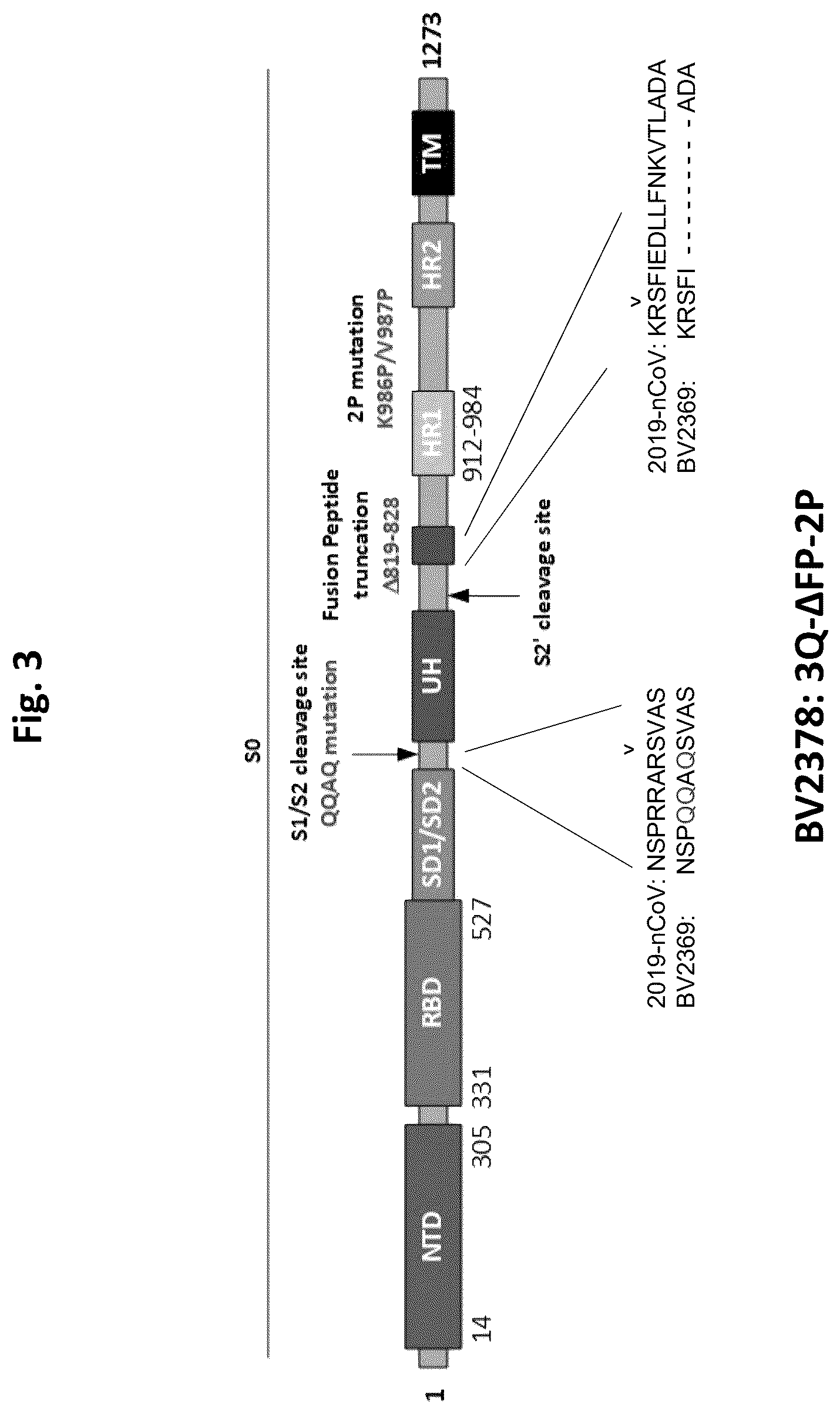 Patent US12472246 Figure 3 – Coronavirus vaccine formulations