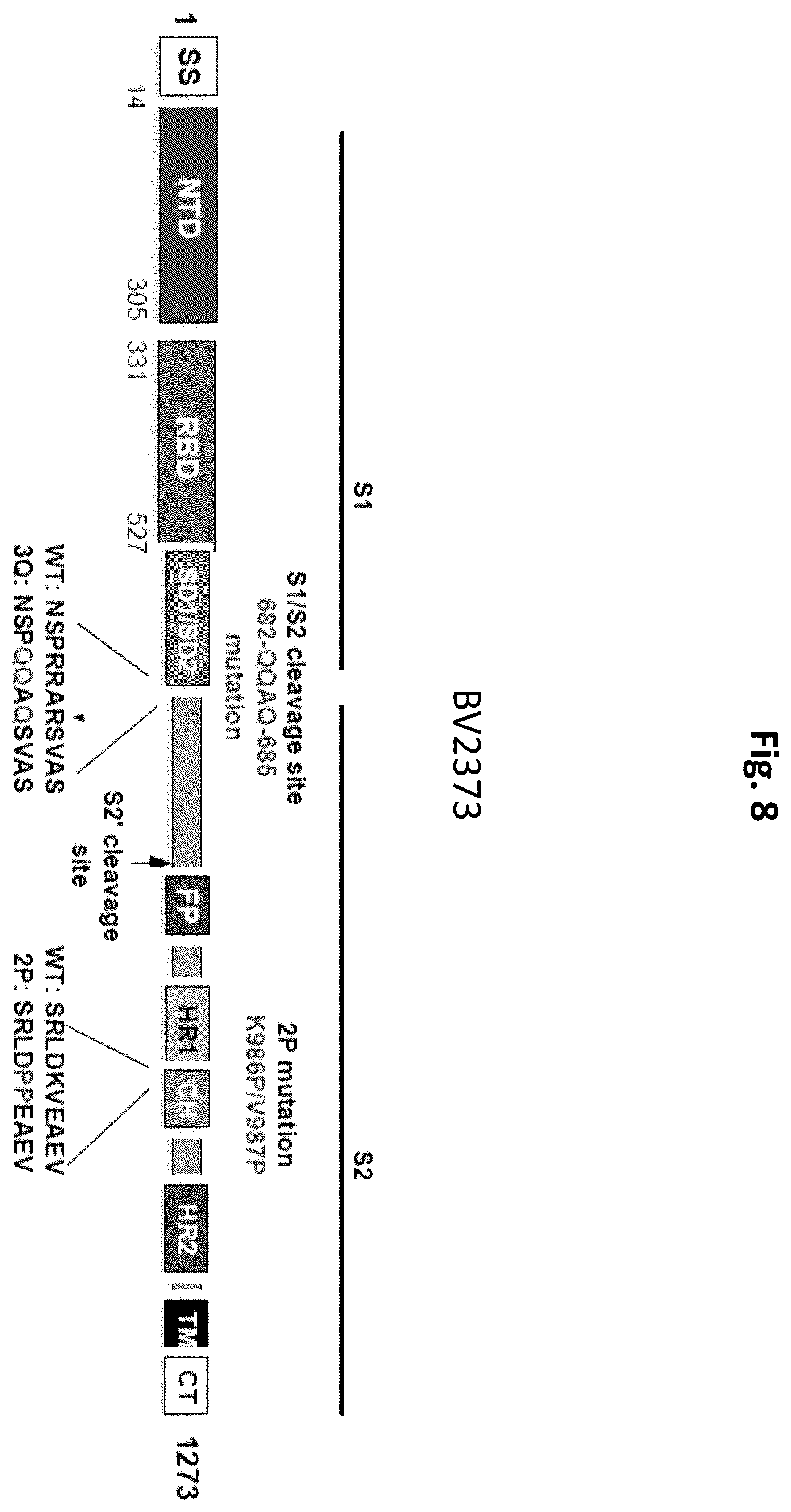 Patent US12472246 Figure 8 – Coronavirus vaccine formulations