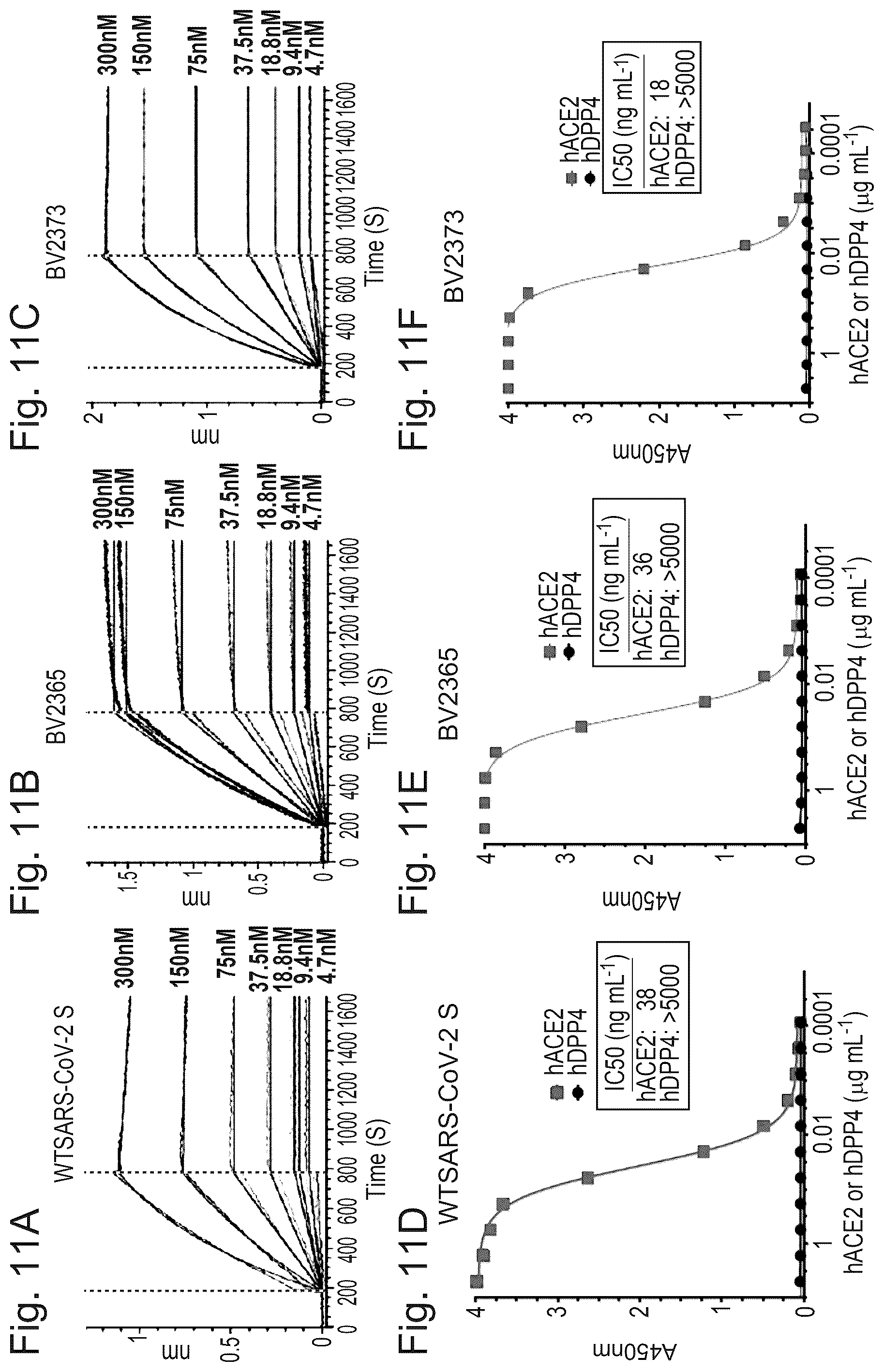 Patent US12472246 Figure 11 – Coronavirus vaccine formulations