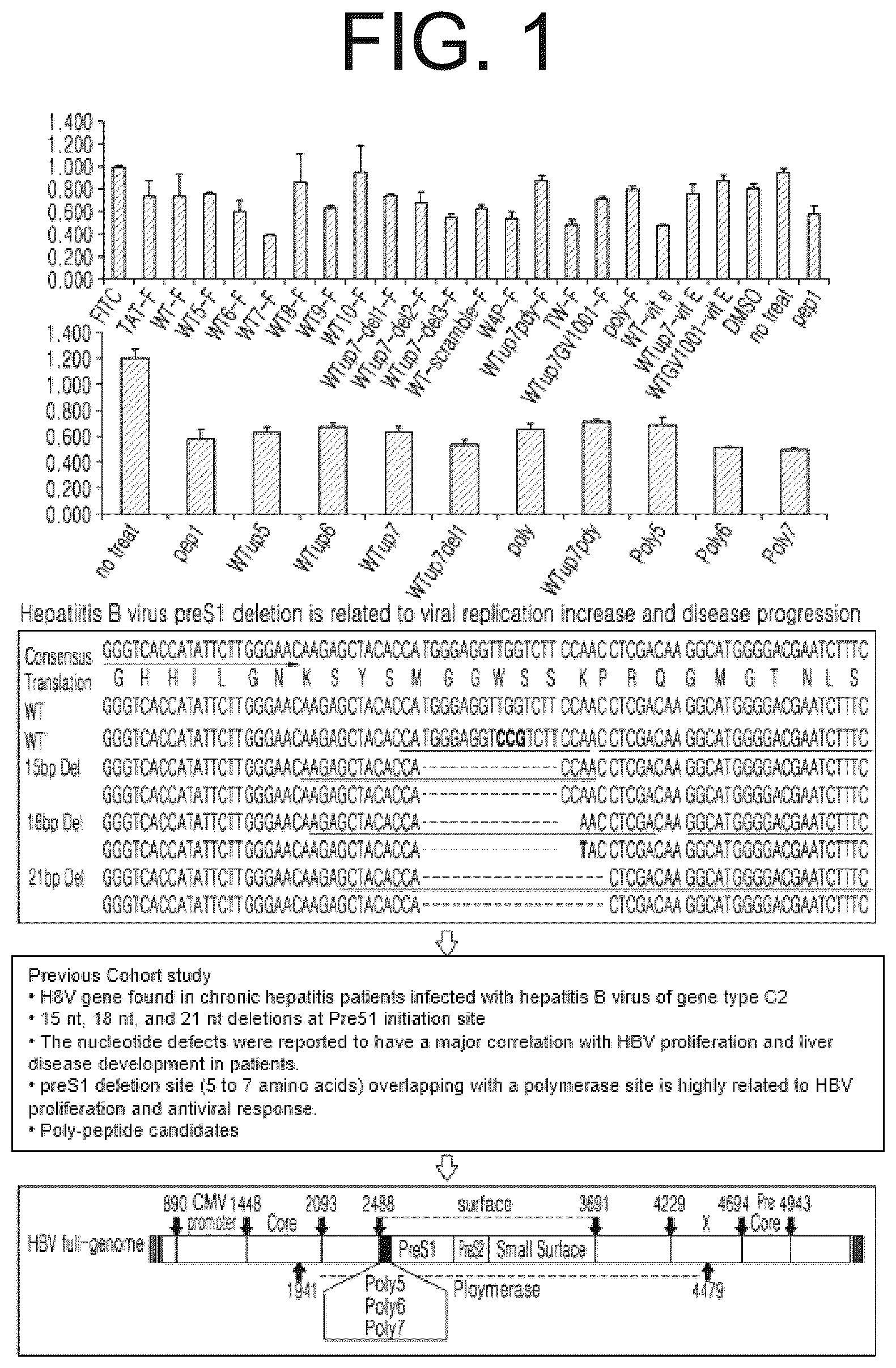 Patent US12472247 Figure 1 – Immune adjuvant comprising hepatitis B virus-derived polypeptide