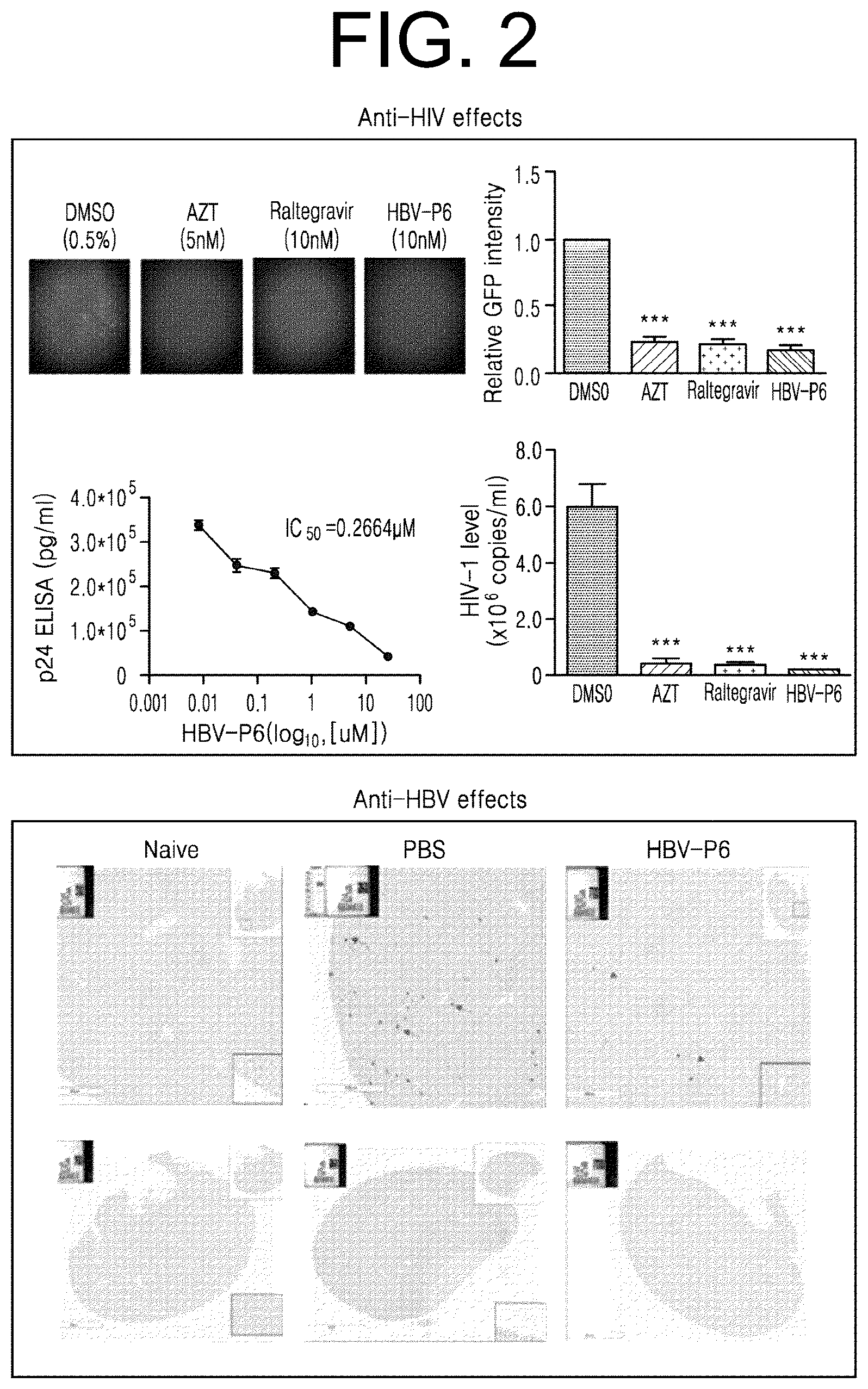 Patent US12472247 Figure 2 – Immune adjuvant comprising hepatitis B virus-derived polypeptide