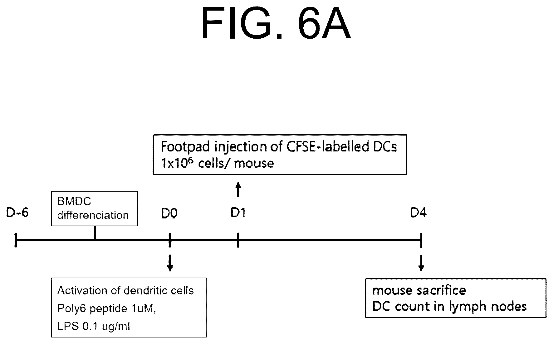 Patent US12472247 Figure 11 – Immune adjuvant comprising hepatitis B virus-derived polypeptide