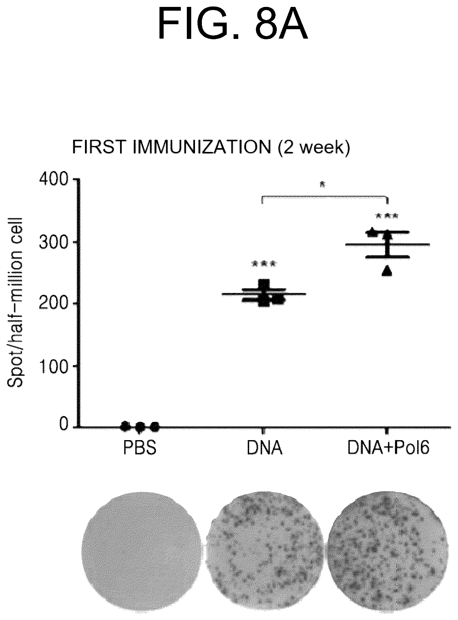 Patent US12472247 Figure 14 – Immune adjuvant comprising hepatitis B virus-derived polypeptide