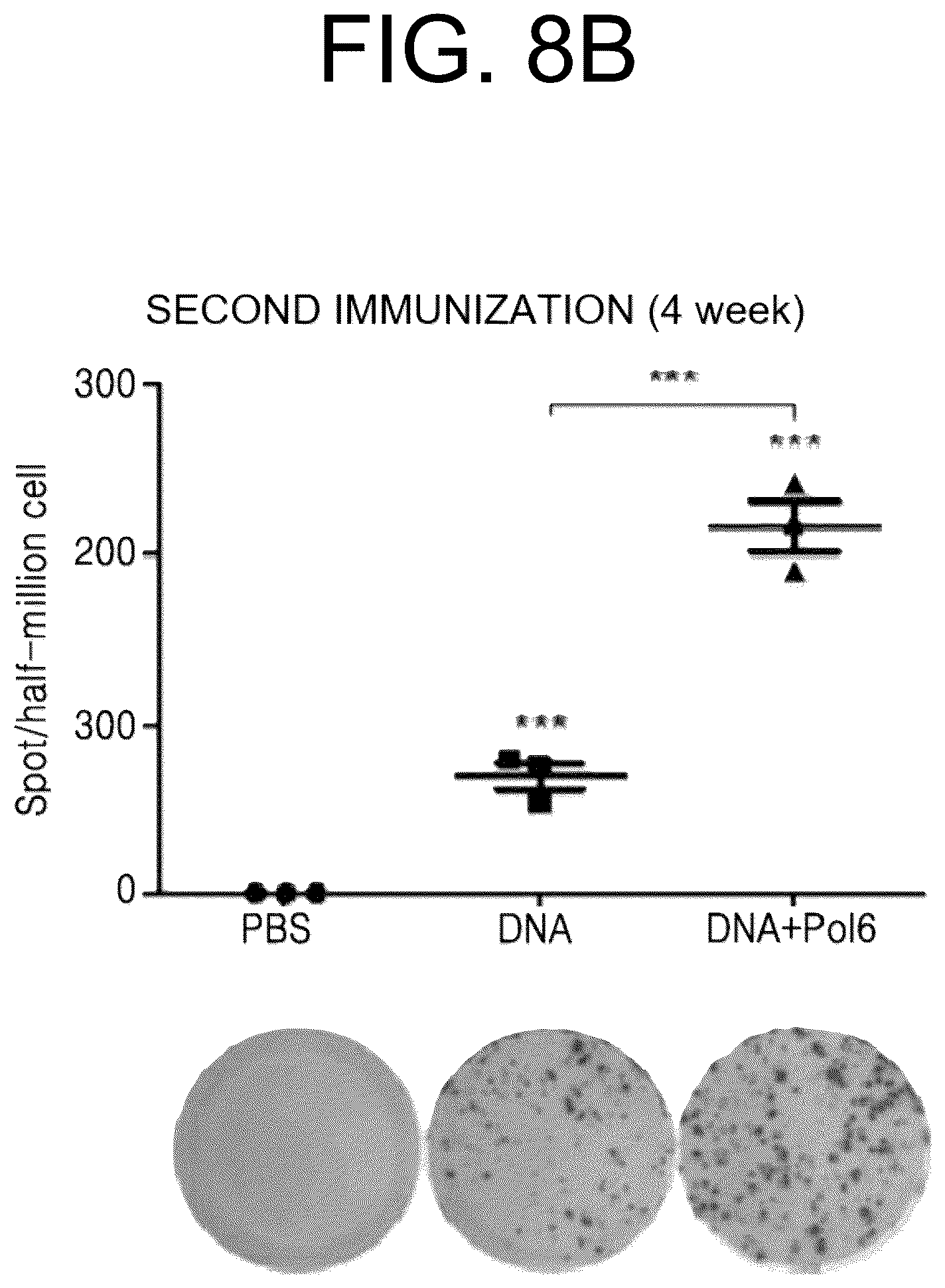 Patent US12472247 Figure 15 – Immune adjuvant comprising hepatitis B virus-derived polypeptide