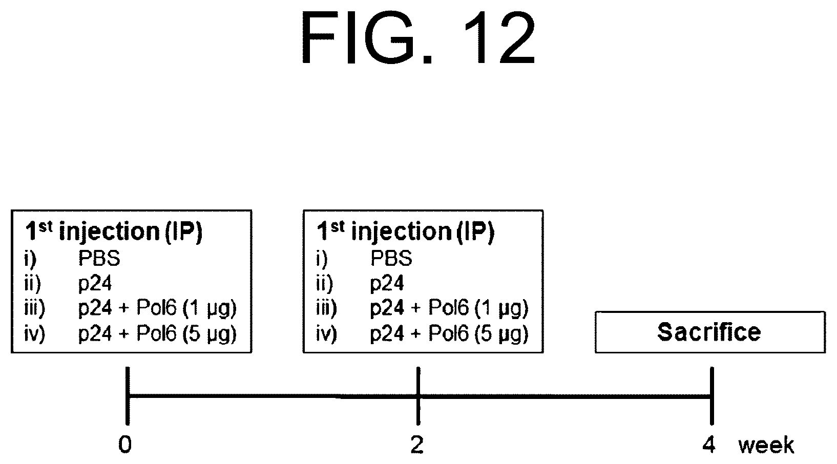 Patent US12472247 Figure 20 – Immune adjuvant comprising hepatitis B virus-derived polypeptide