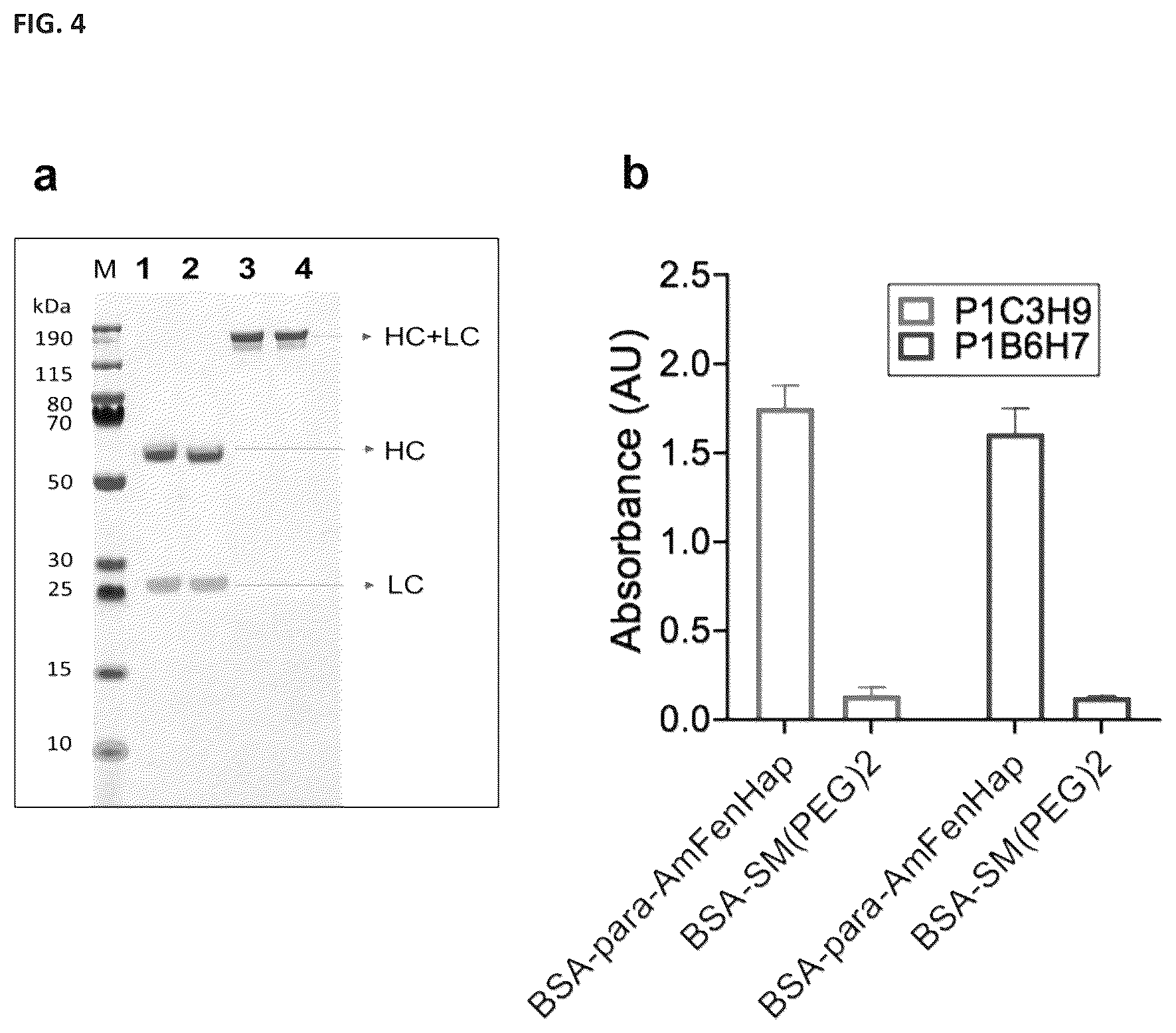 Patent US12472248 Figure 4 – Antibodies against fentanyl and fentanyl analogs