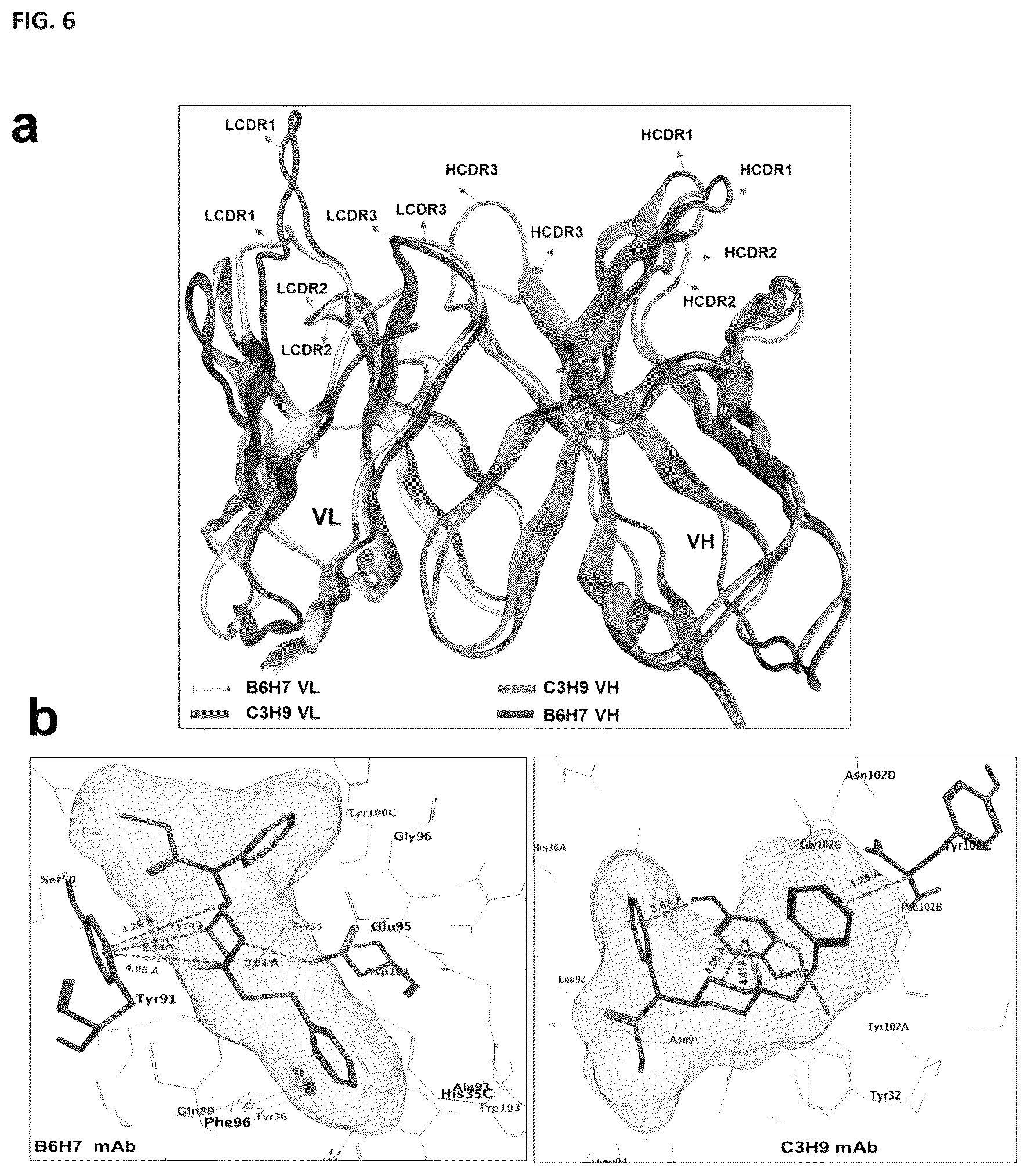 Patent US12472248 Figure 6 – Antibodies against fentanyl and fentanyl analogs