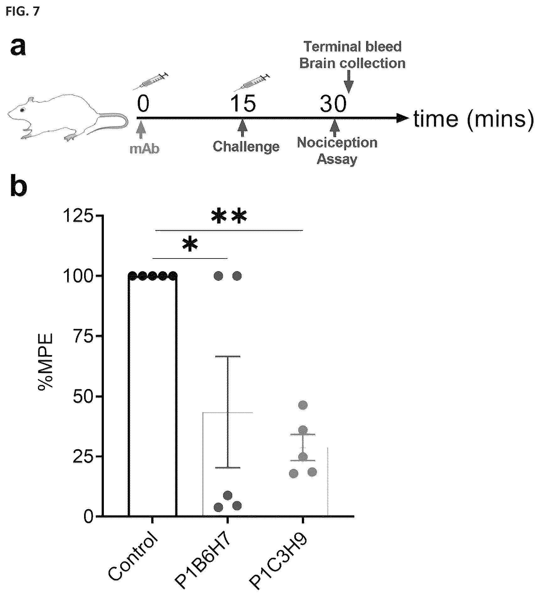 Patent US12472248 Figure 7 – Antibodies against fentanyl and fentanyl analogs