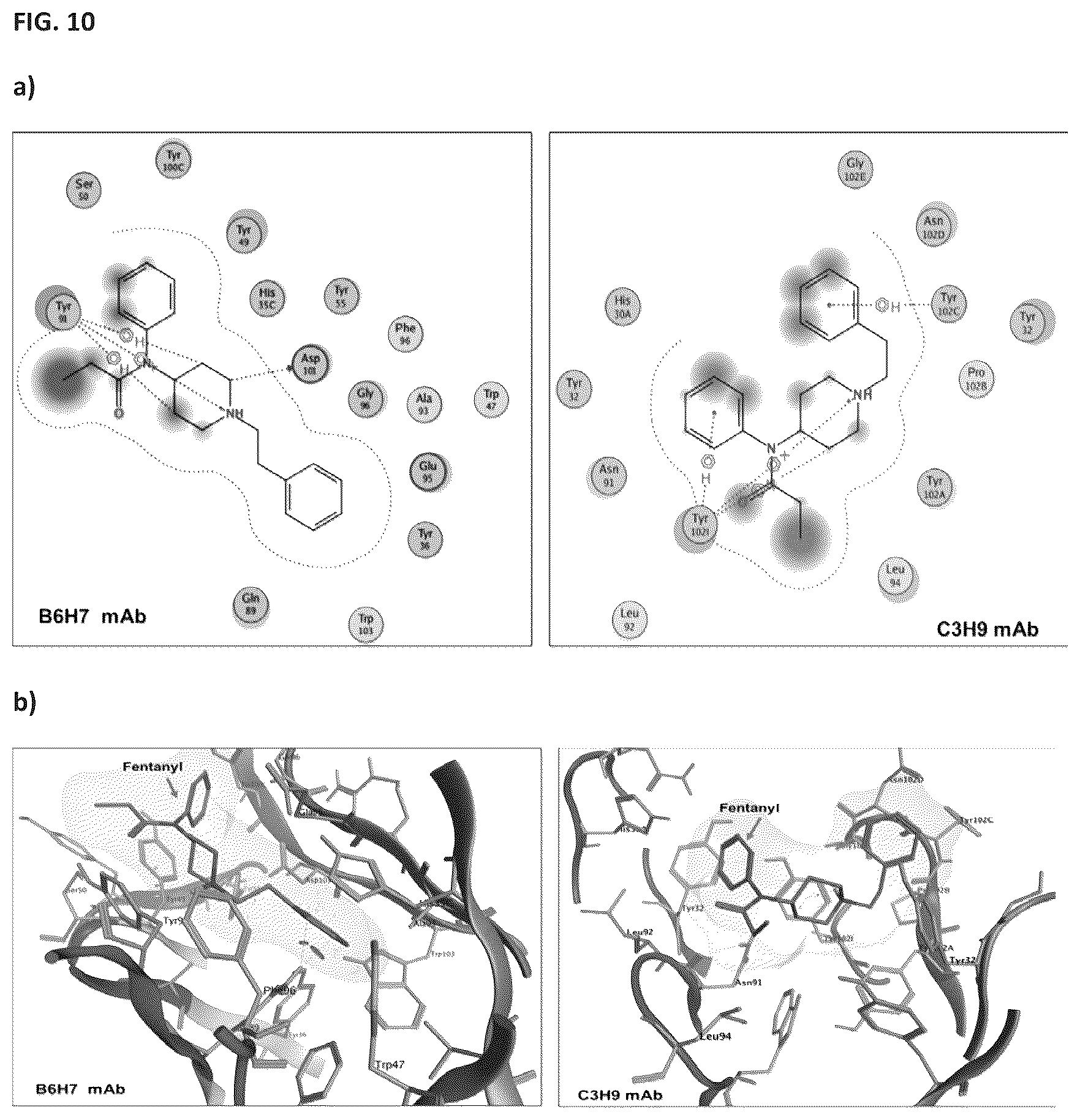 Patent US12472248 Figure 10 – Antibodies against fentanyl and fentanyl analogs