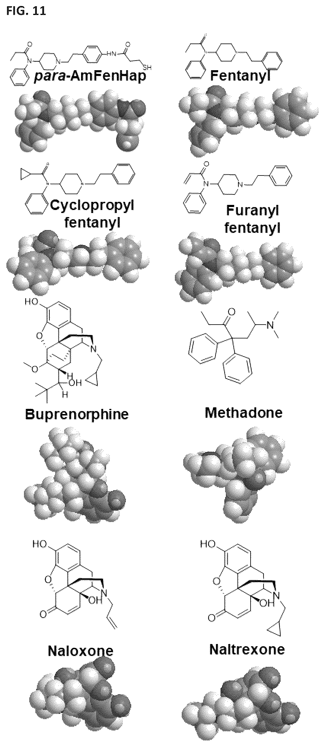 Patent US12472248 Figure 11 – Antibodies against fentanyl and fentanyl analogs