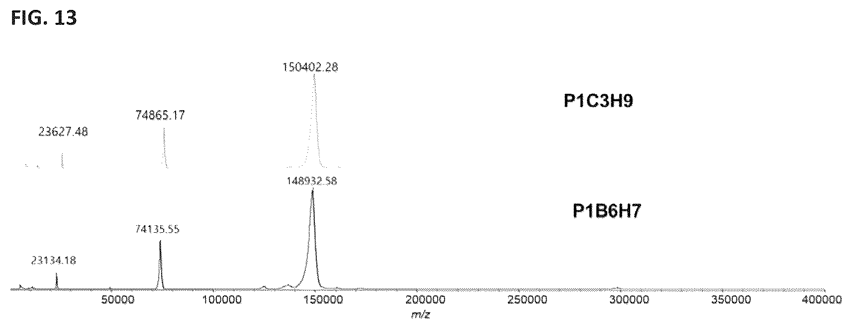 Patent US12472248 Figure 13 – Antibodies against fentanyl and fentanyl analogs