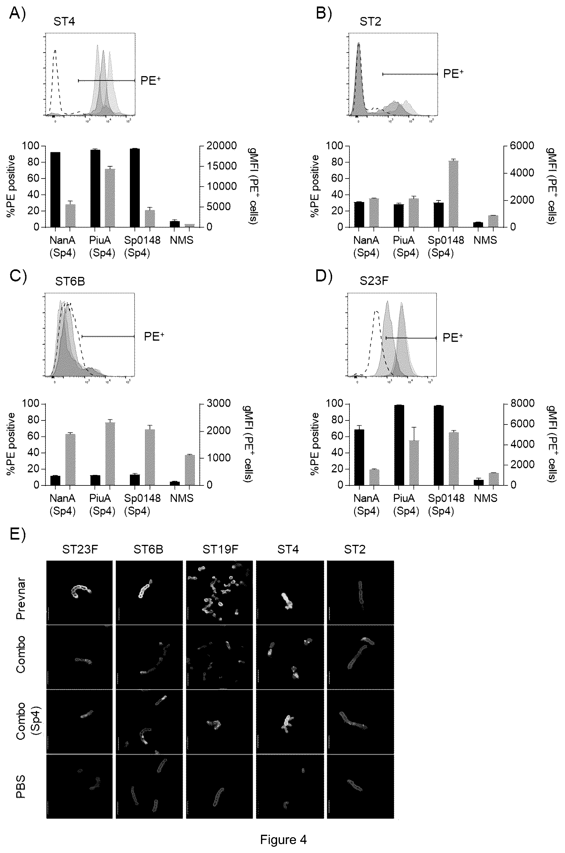 Patent US12472249 Figure 4 – Glyconjugate vaccines