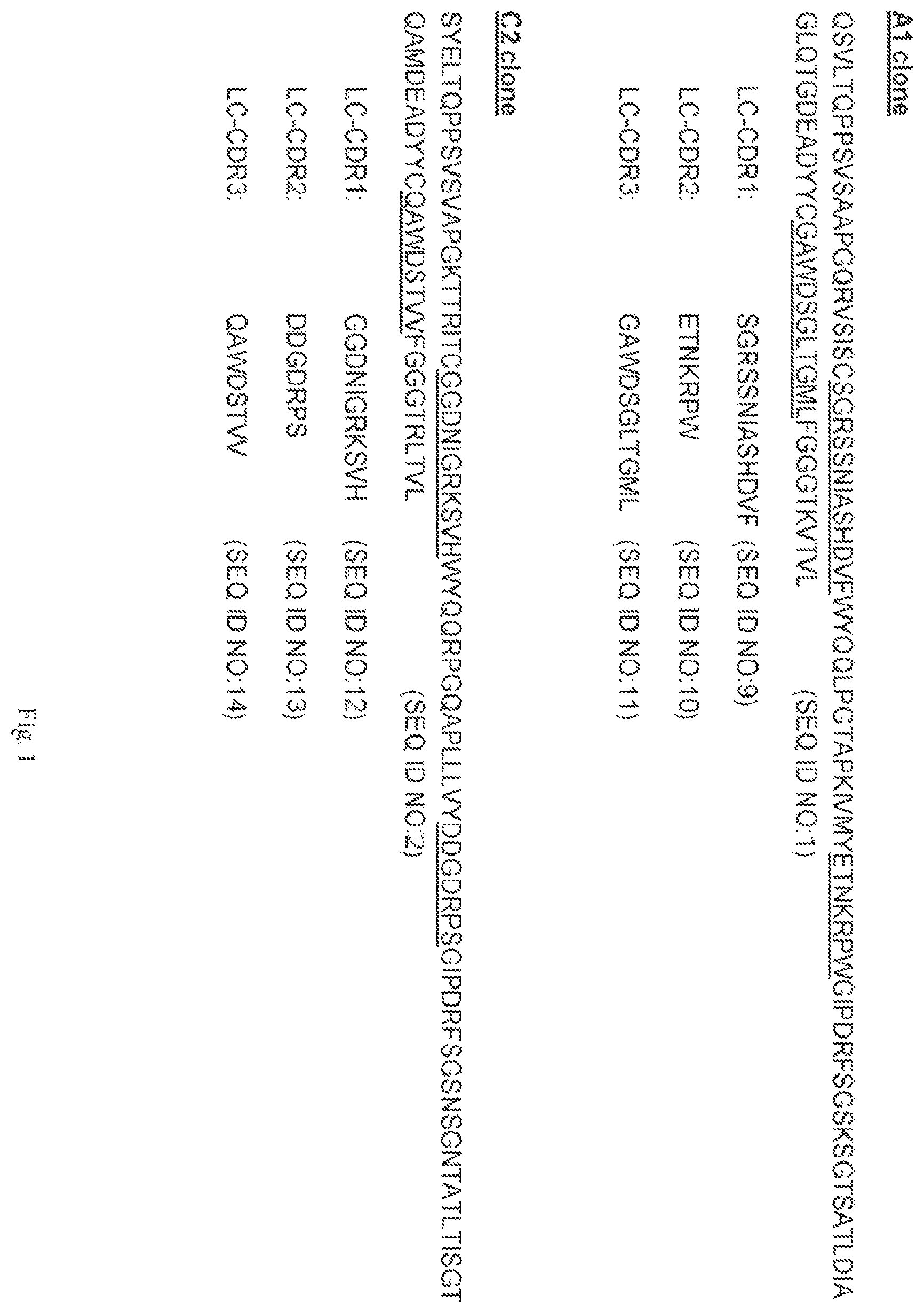 Patent US12472252 Figure 1 – Anti-PD-L1 antibodies