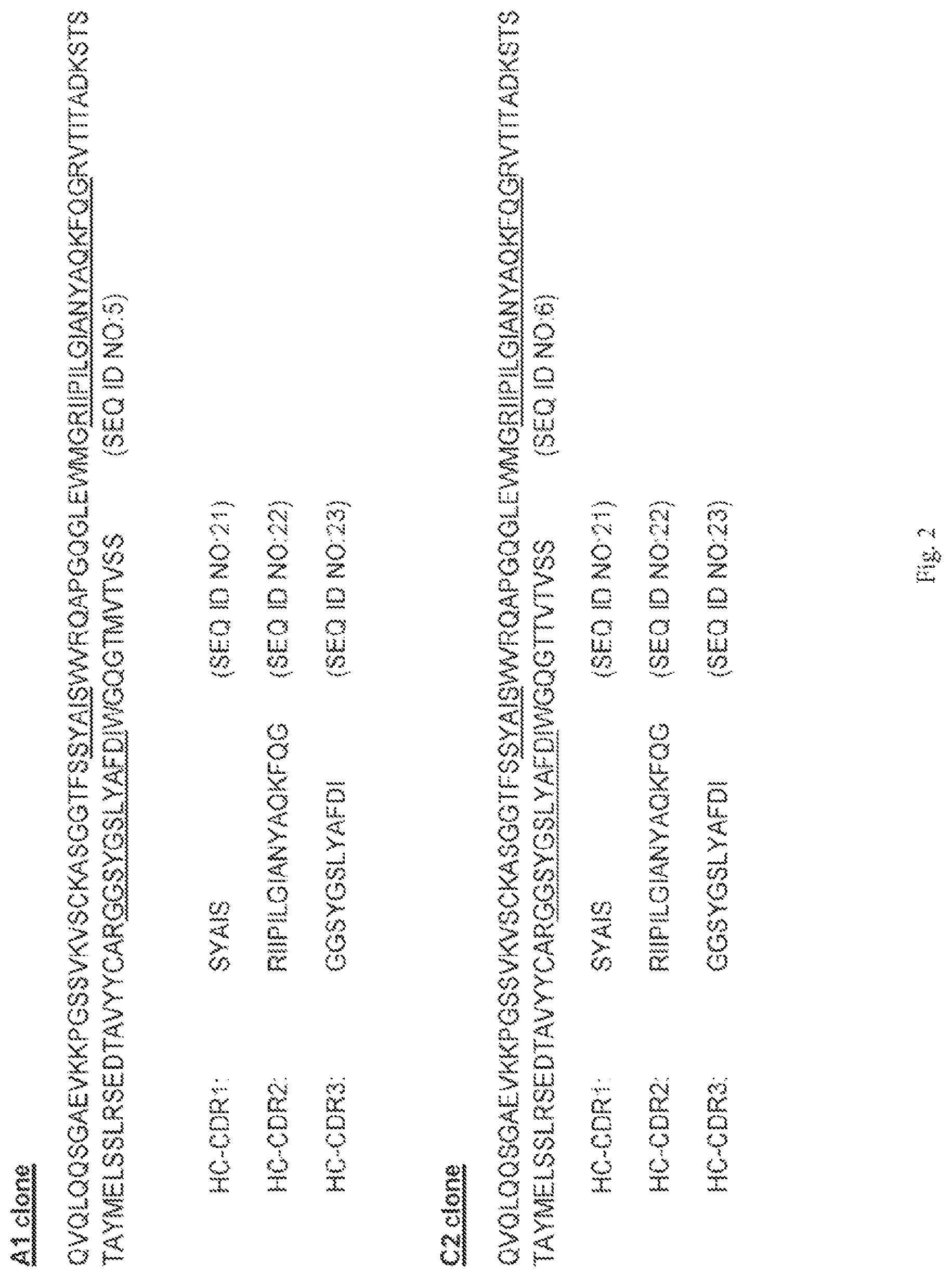 Patent US12472252 Figure 3 – Anti-PD-L1 antibodies