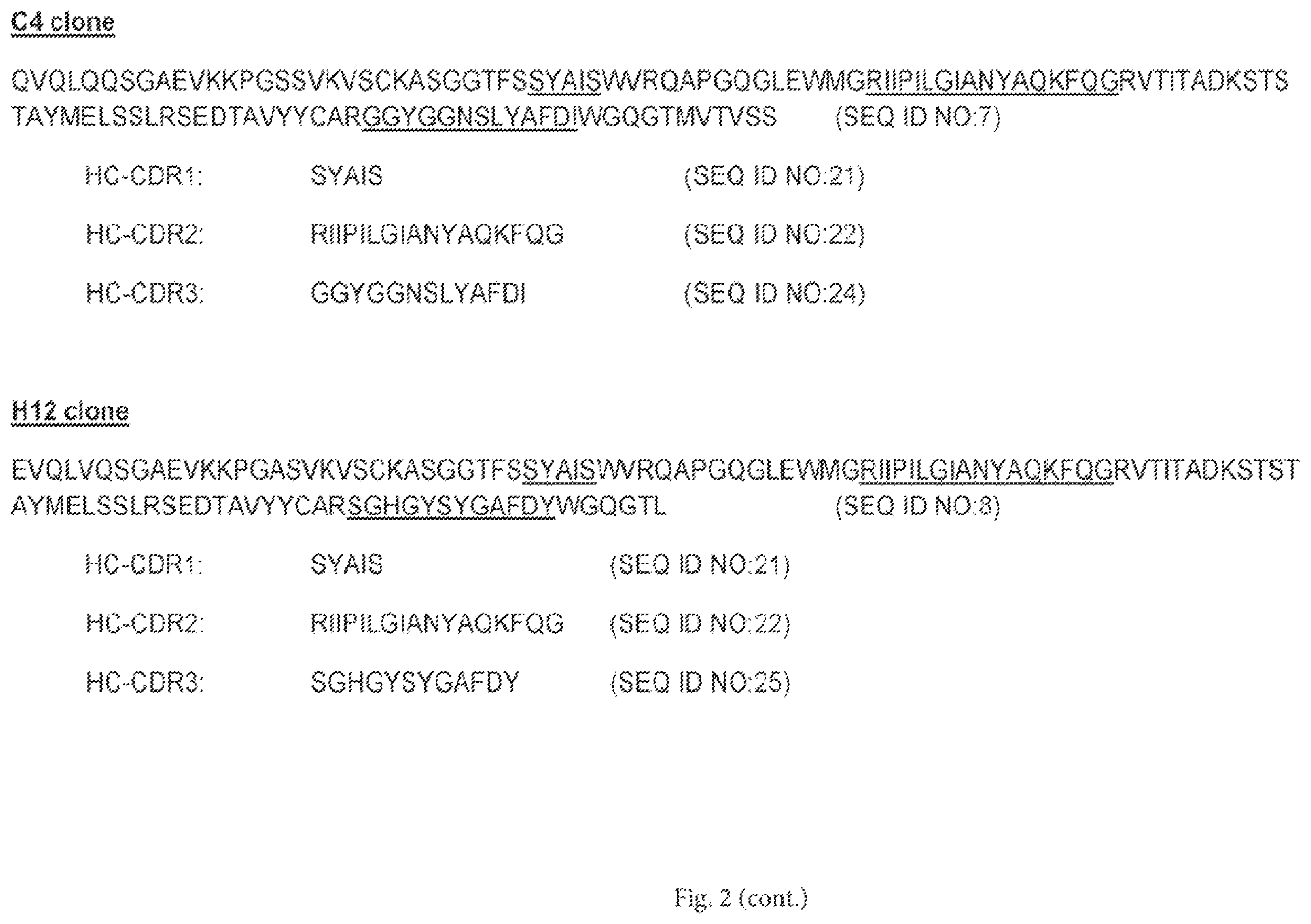 Patent US12472252 Figure 4 – Anti-PD-L1 antibodies