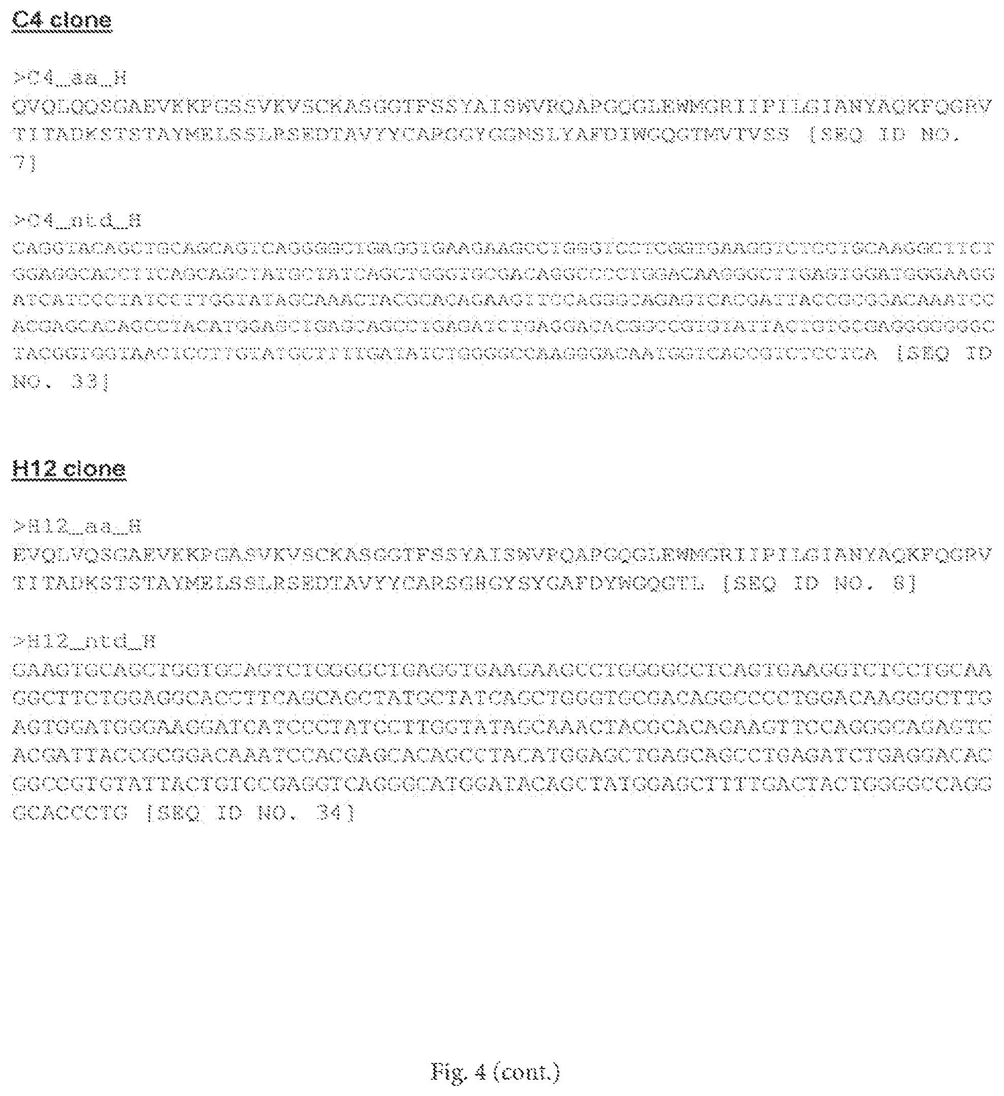 Patent US12472252 Figure 9 – Anti-PD-L1 antibodies