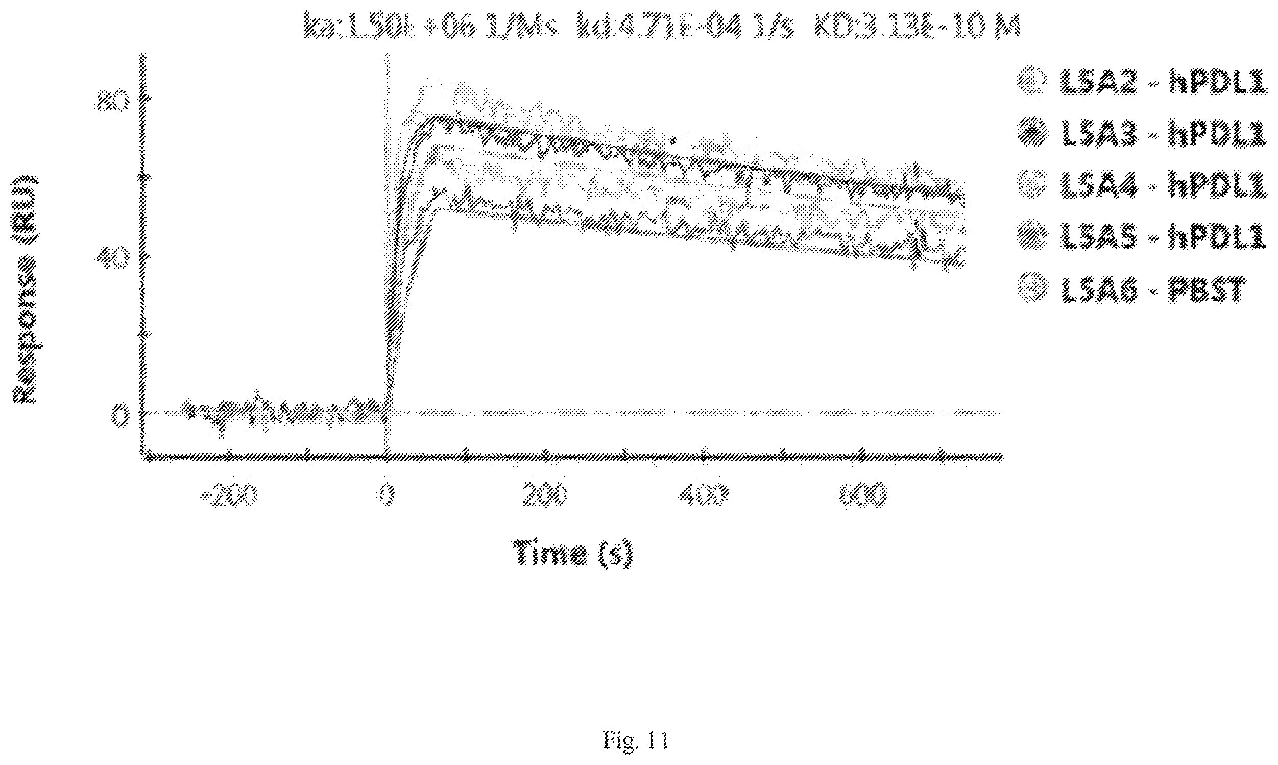 Patent US12472252 Figure 17 – Anti-PD-L1 antibodies