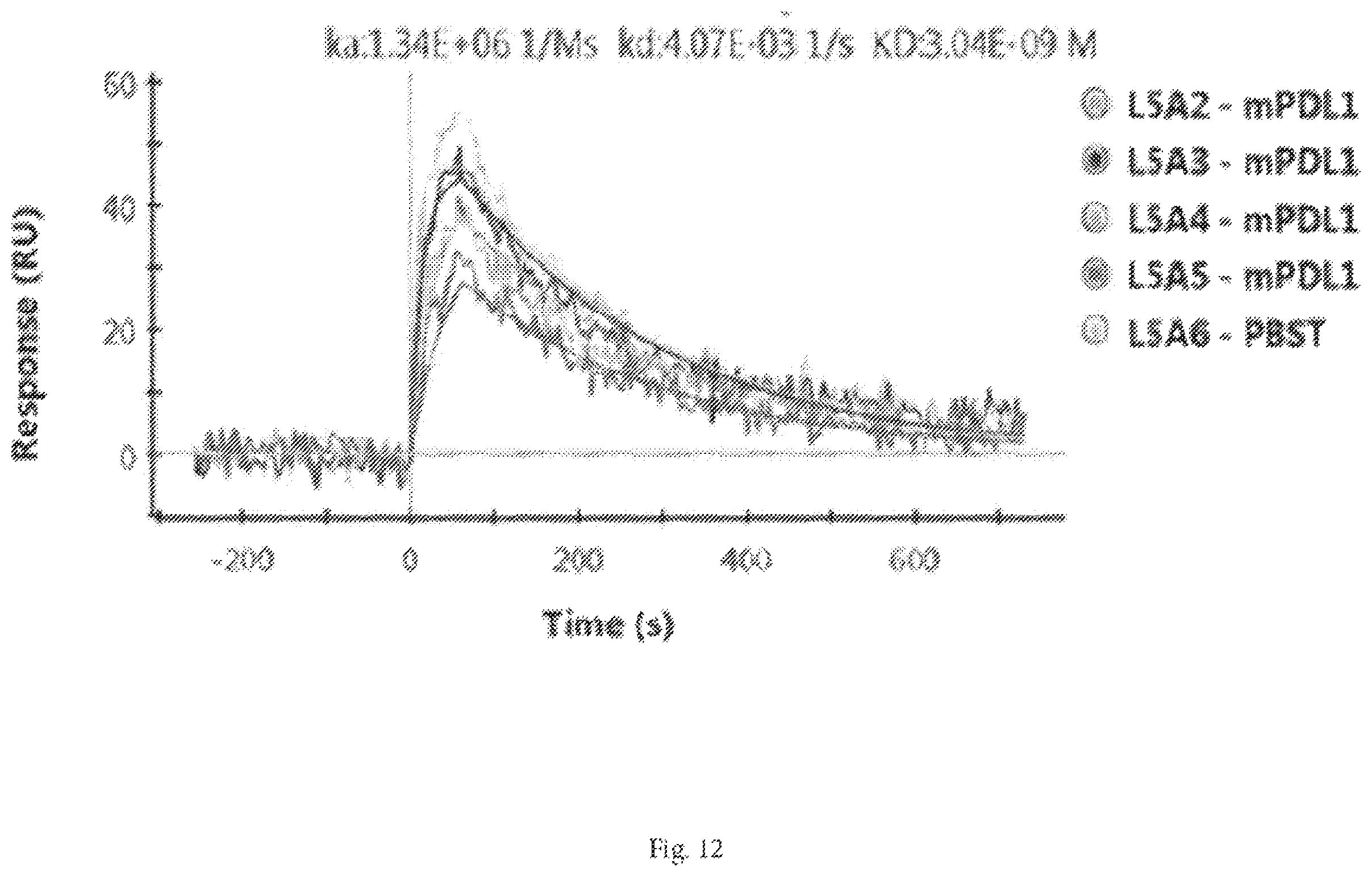 Patent US12472252 Figure 18 – Anti-PD-L1 antibodies