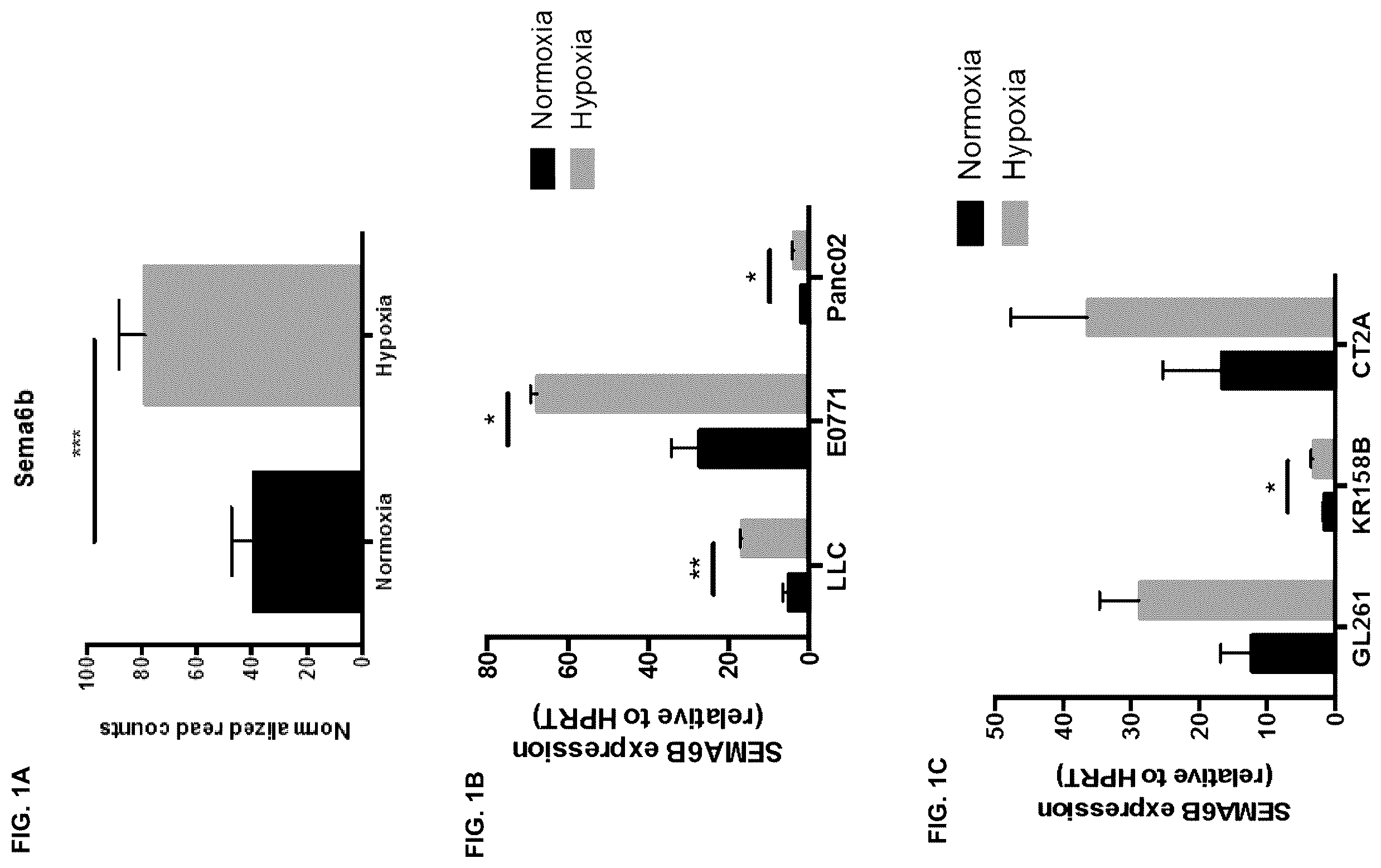 Patent US12472254 Figure 1 – CD8+ T-cells lacking plexins and their application in cancer treatment