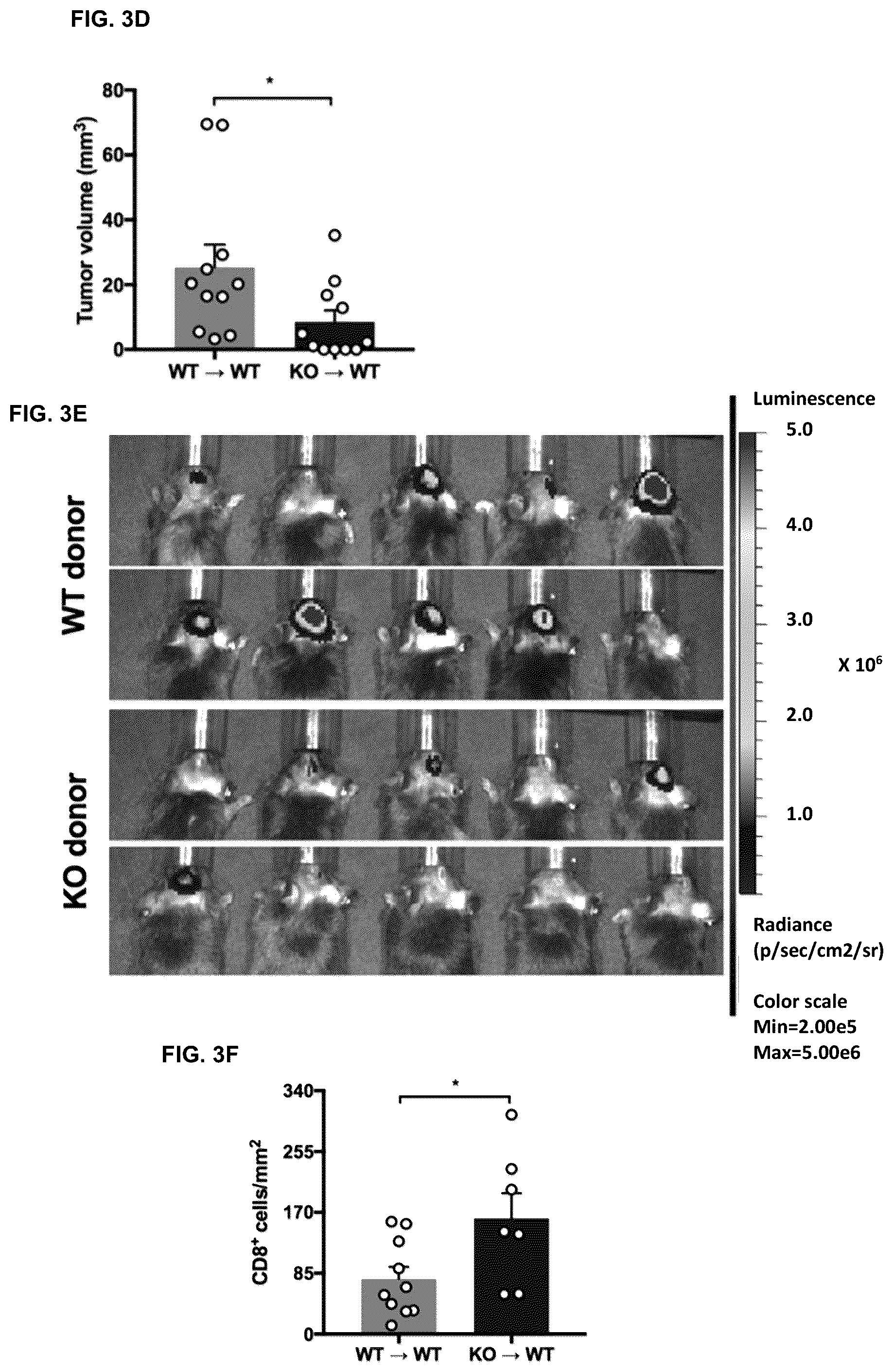 Patent US12472254 Figure 6 – CD8+ T-cells lacking plexins and their application in cancer treatment