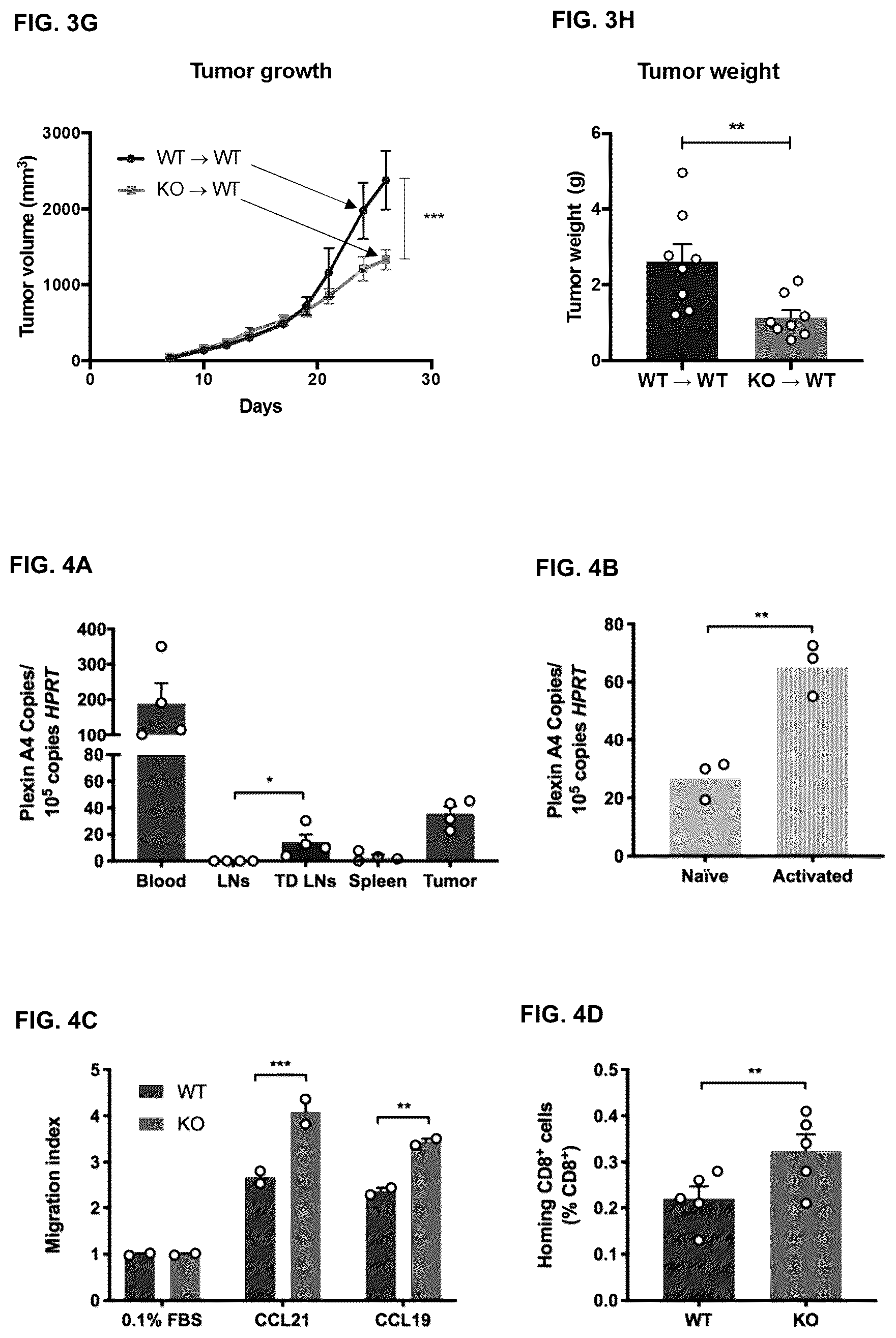 Patent US12472254 Figure 7 – CD8+ T-cells lacking plexins and their application in cancer treatment