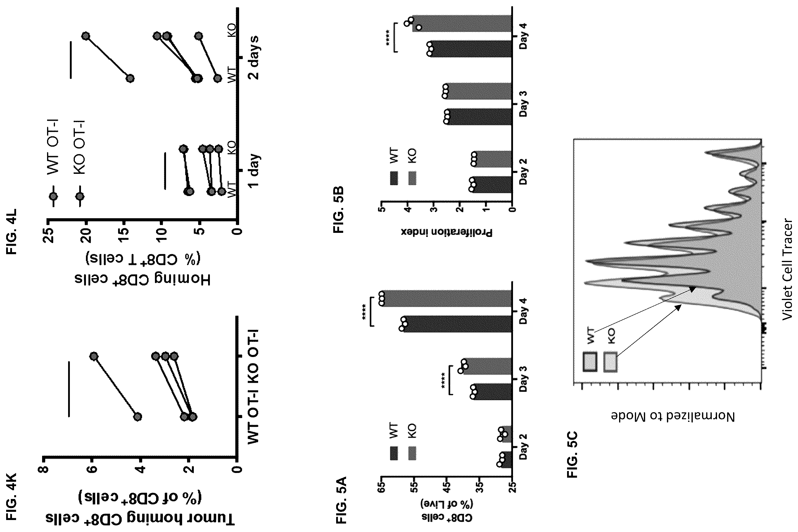Patent US12472254 Figure 9 – CD8+ T-cells lacking plexins and their application in cancer treatment
