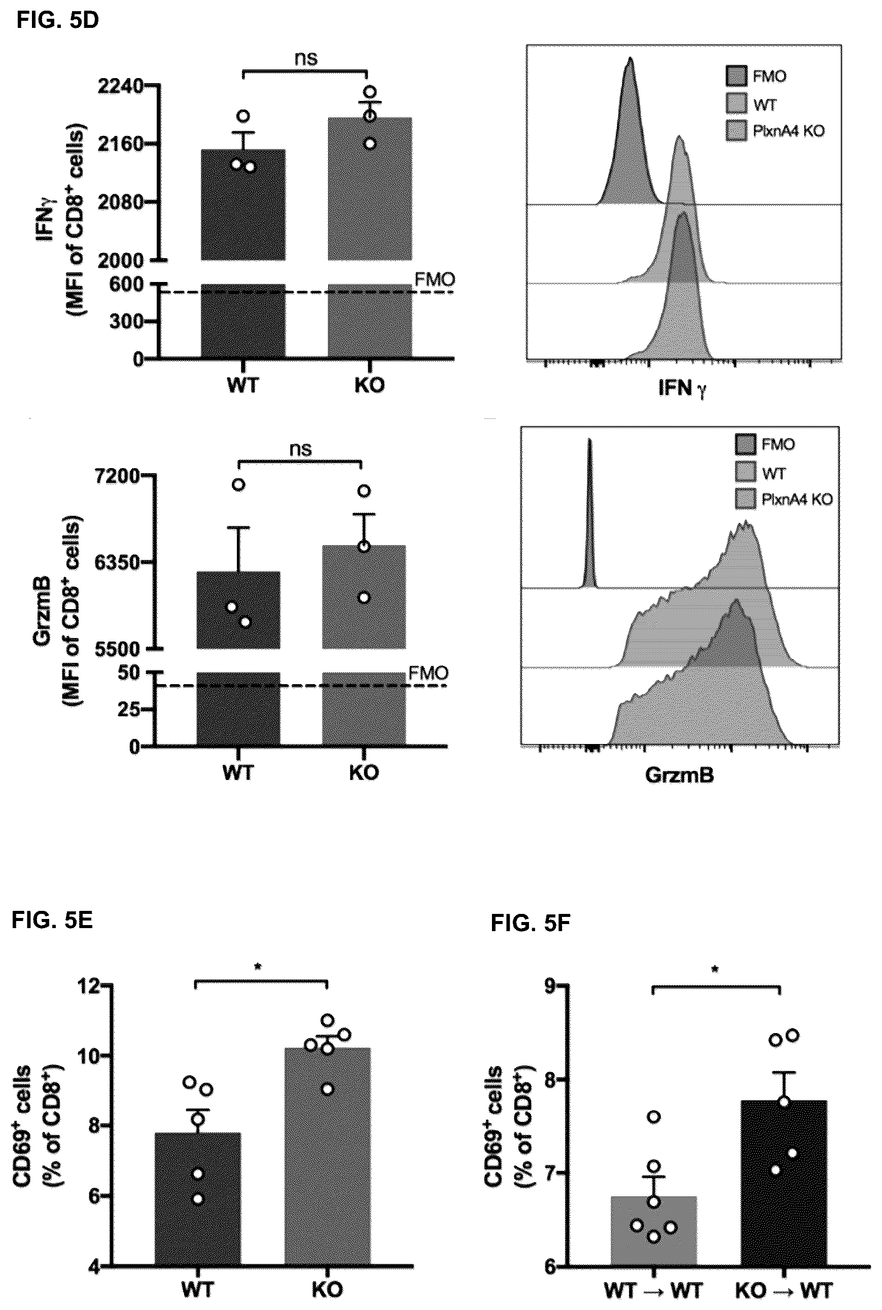 Patent US12472254 Figure 10 – CD8+ T-cells lacking plexins and their application in cancer treatment